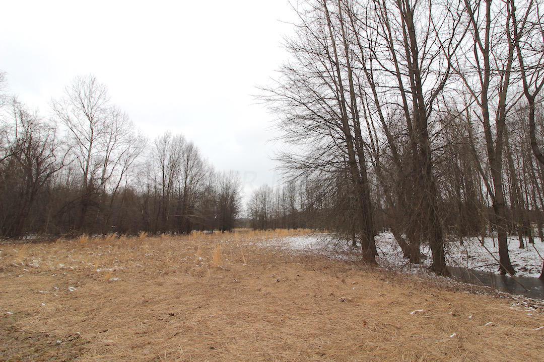 72375 Bridge Road Kimbolton, OH 43749 - Photo 7 of 48