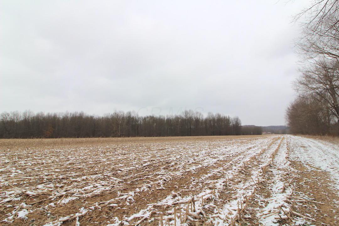 72375 Bridge Road Kimbolton, OH 43749 - Photo 9 of 48