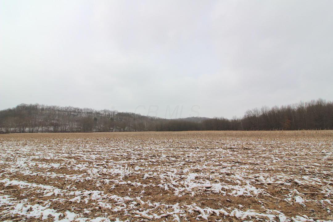 72375 Bridge Road Kimbolton, OH 43749 - Photo 10 of 48