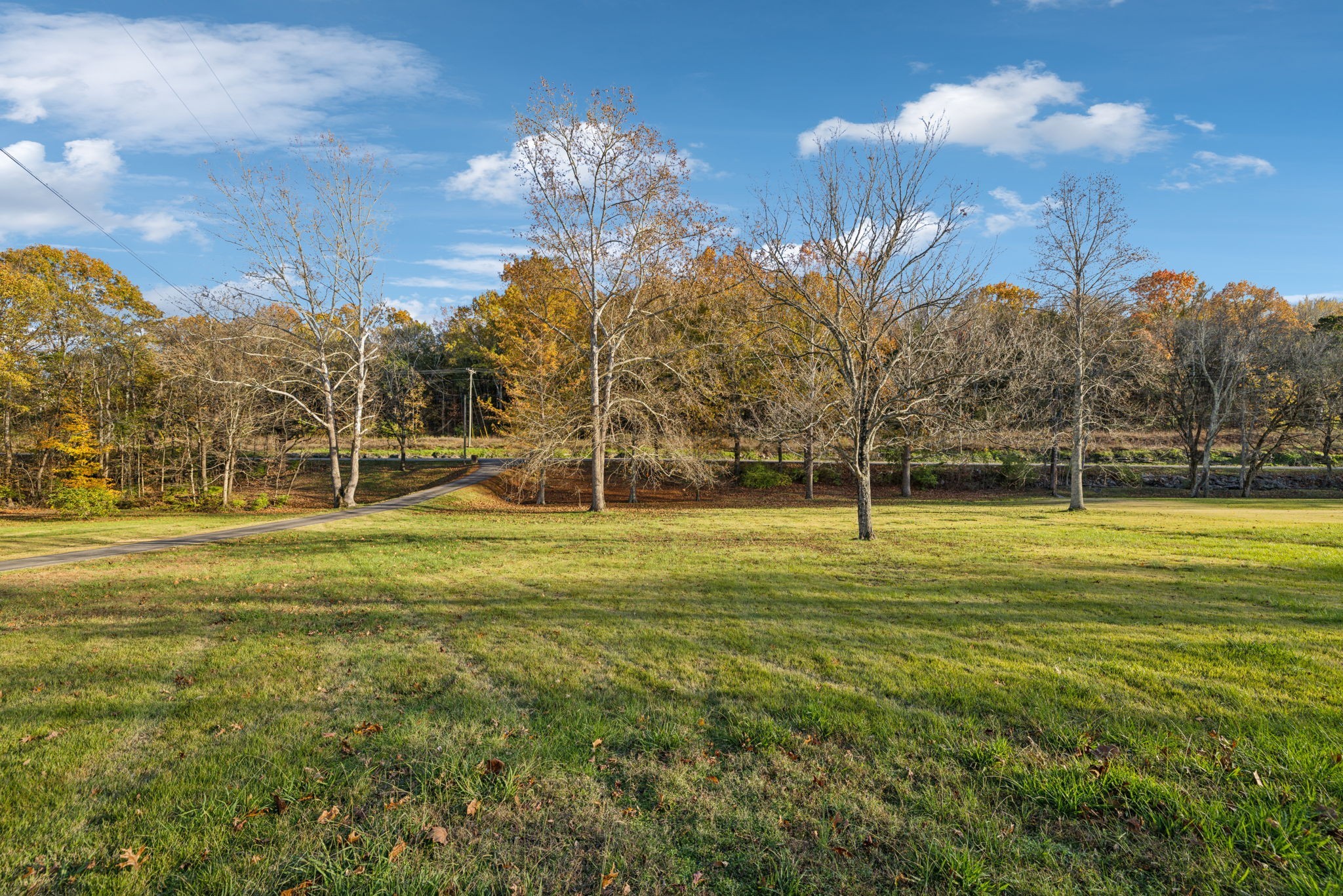 9856 Sam Donald Road Nolensville, TN 37135 - Photo 2 of 66