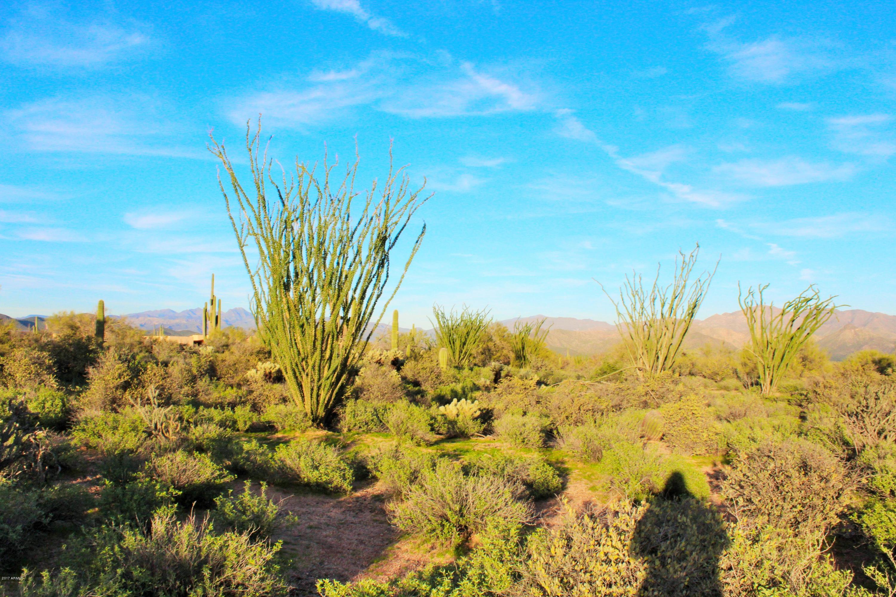 17000 East Lone Mountain Road Rio Verde, AZ 85263 - Photo 11 of 26 Plenty of space to enjoy!