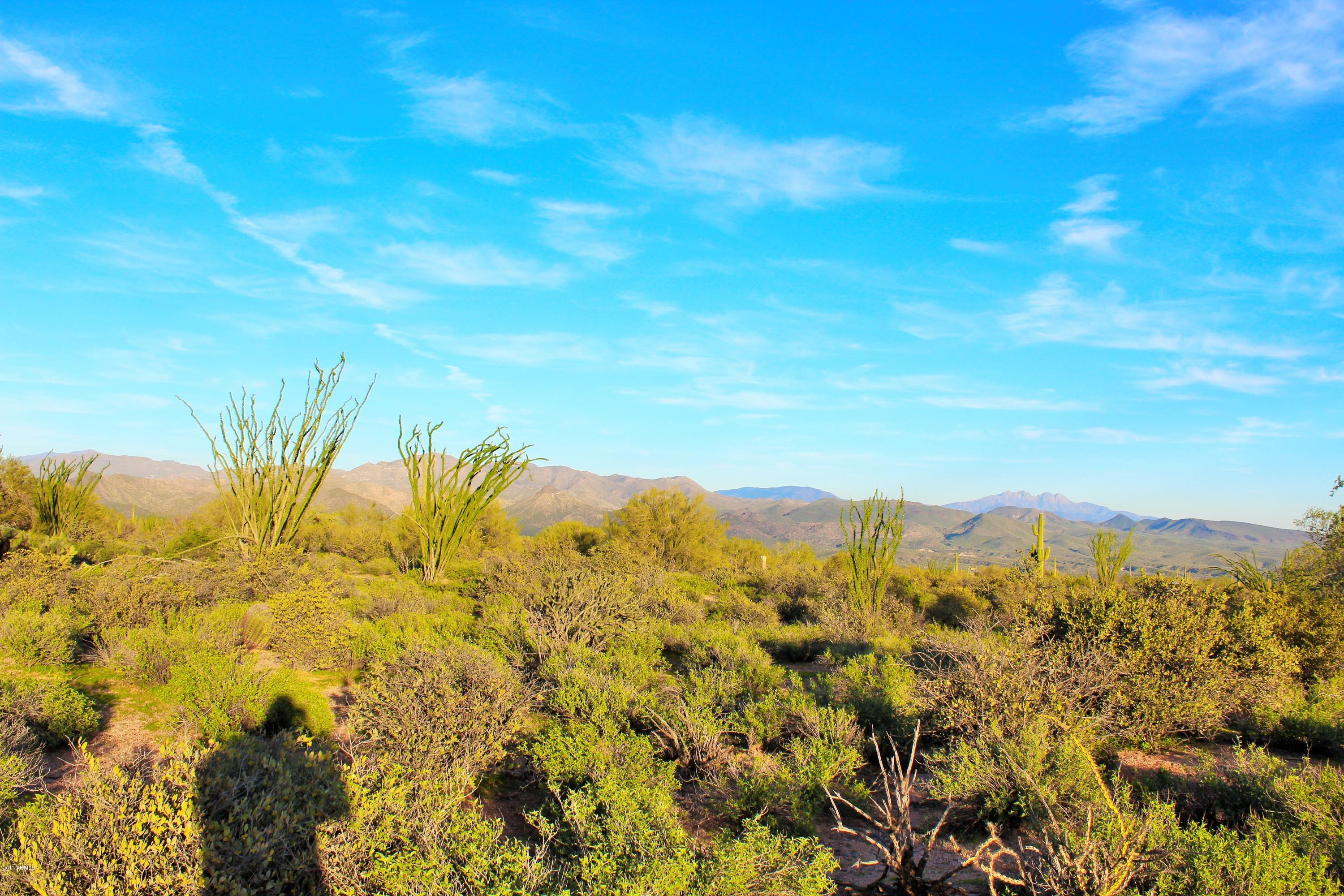 17000 East Lone Mountain Road Rio Verde, AZ 85263 - Photo 12 of 26 Lush Desert Landscape