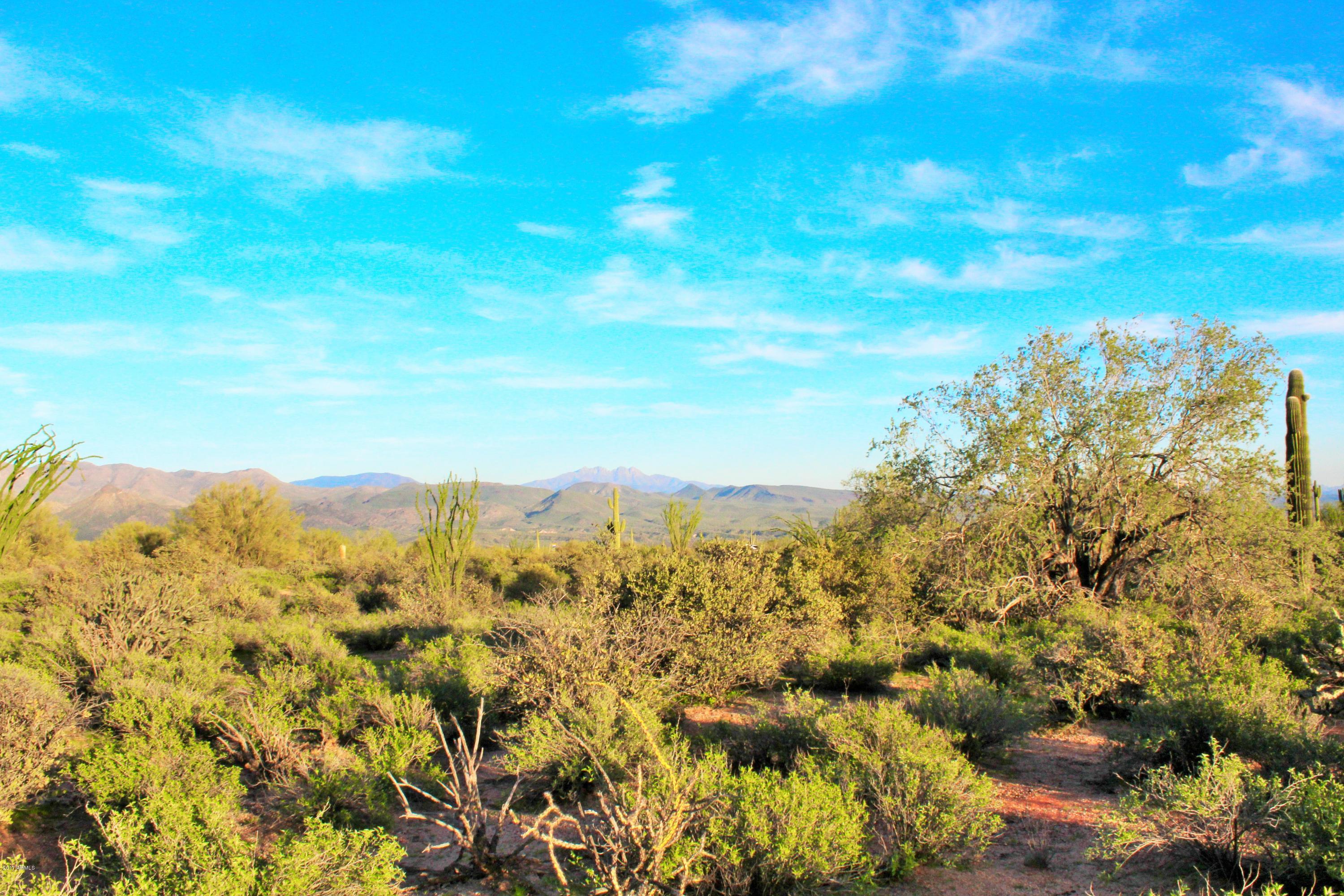 17000 East Lone Mountain Road Rio Verde, AZ 85263 - Photo 13 of 26 Blue Skies for Days