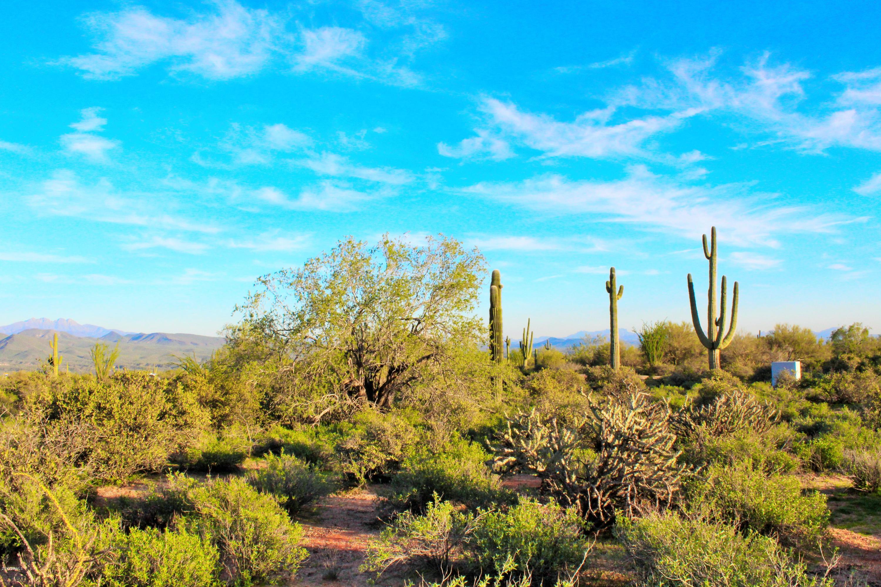 17000 East Lone Mountain Road Rio Verde, AZ 85263 - Photo 14 of 26 Desert Living at it's Finest