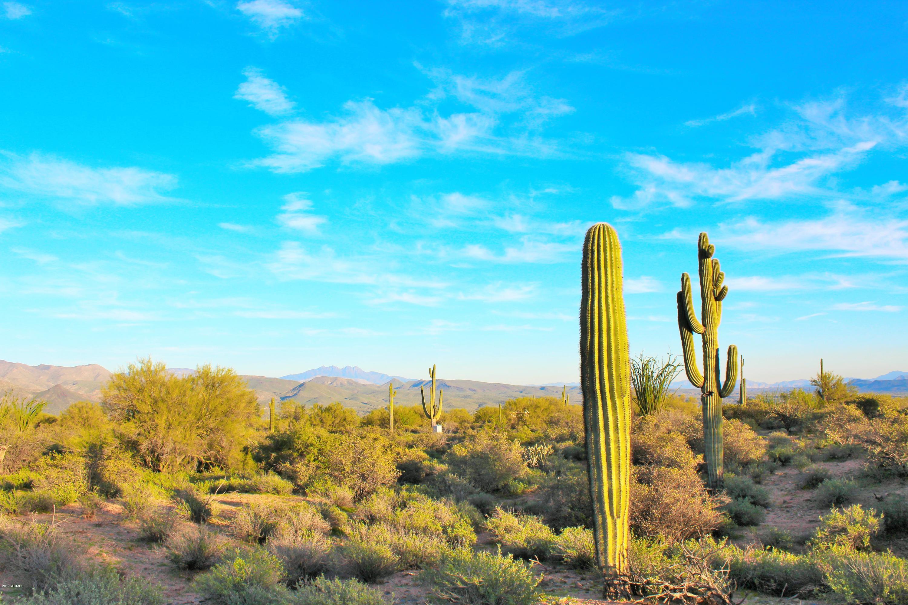 17000 East Lone Mountain Road Rio Verde, AZ 85263 - Photo 15 of 26 Luxury Views