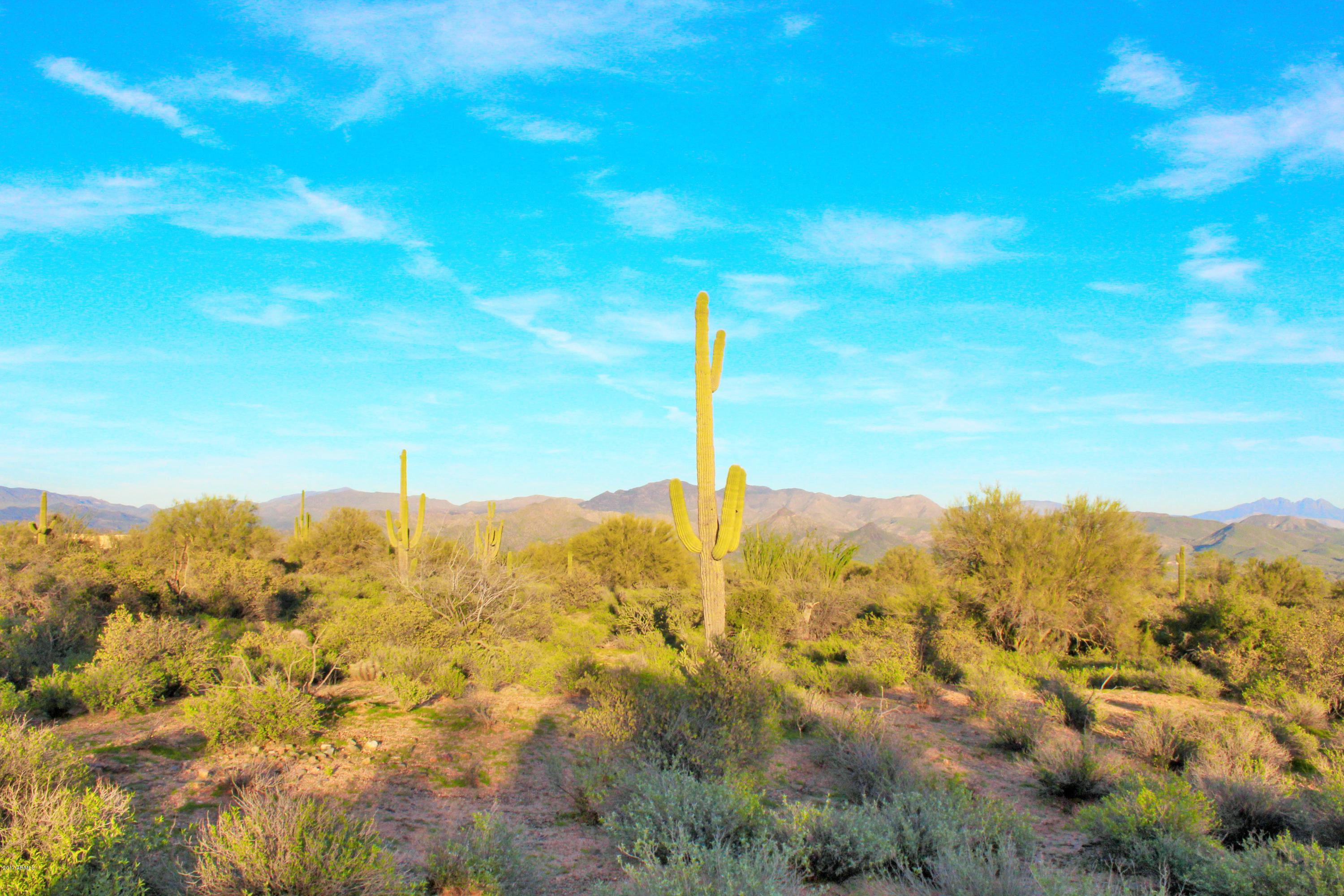 17000 East Lone Mountain Road Rio Verde, AZ 85263 - Photo 16 of 26 Mature Saguaros