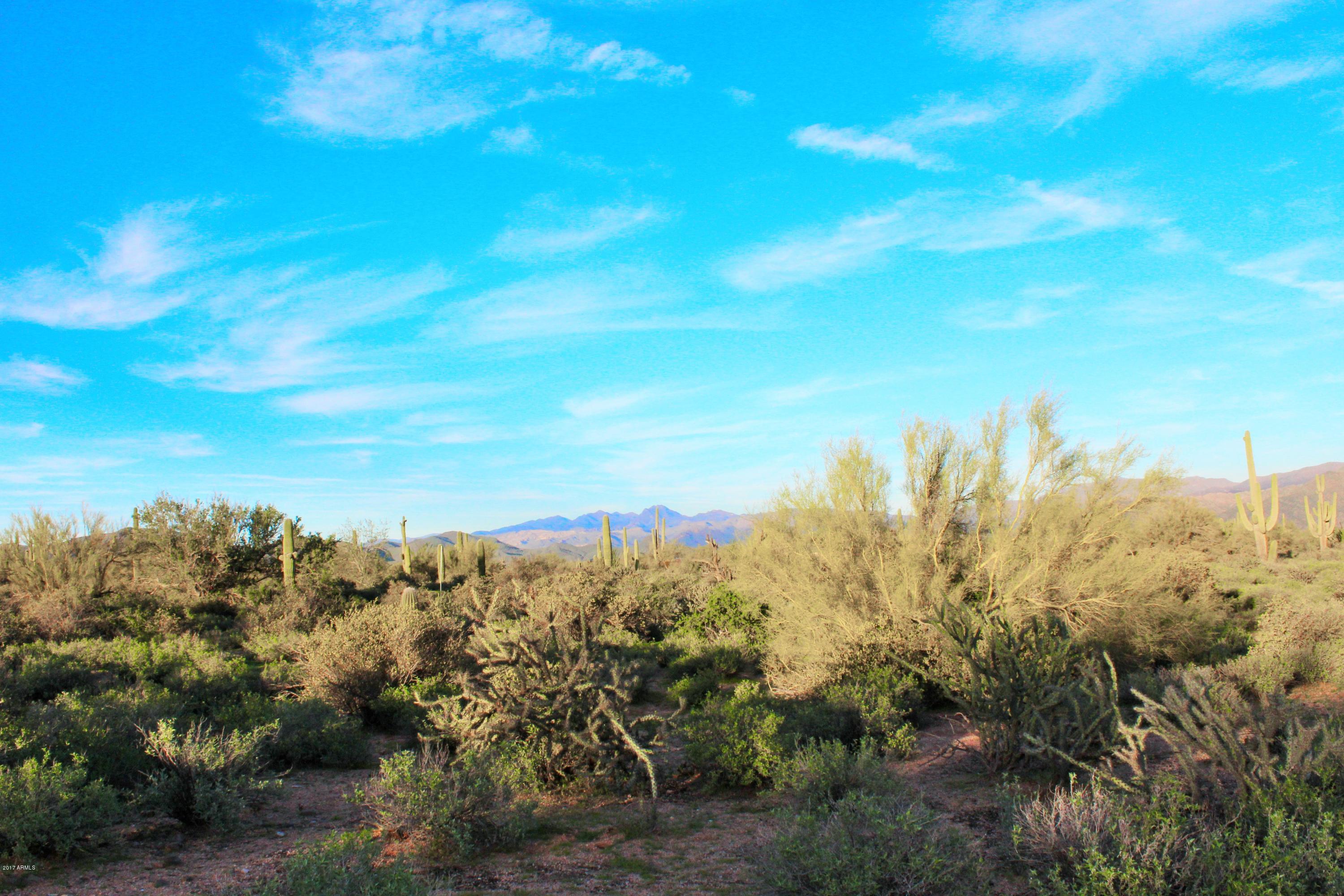 17000 East Lone Mountain Road Rio Verde, AZ 85263 - Photo 18 of 26 Lush Landscape