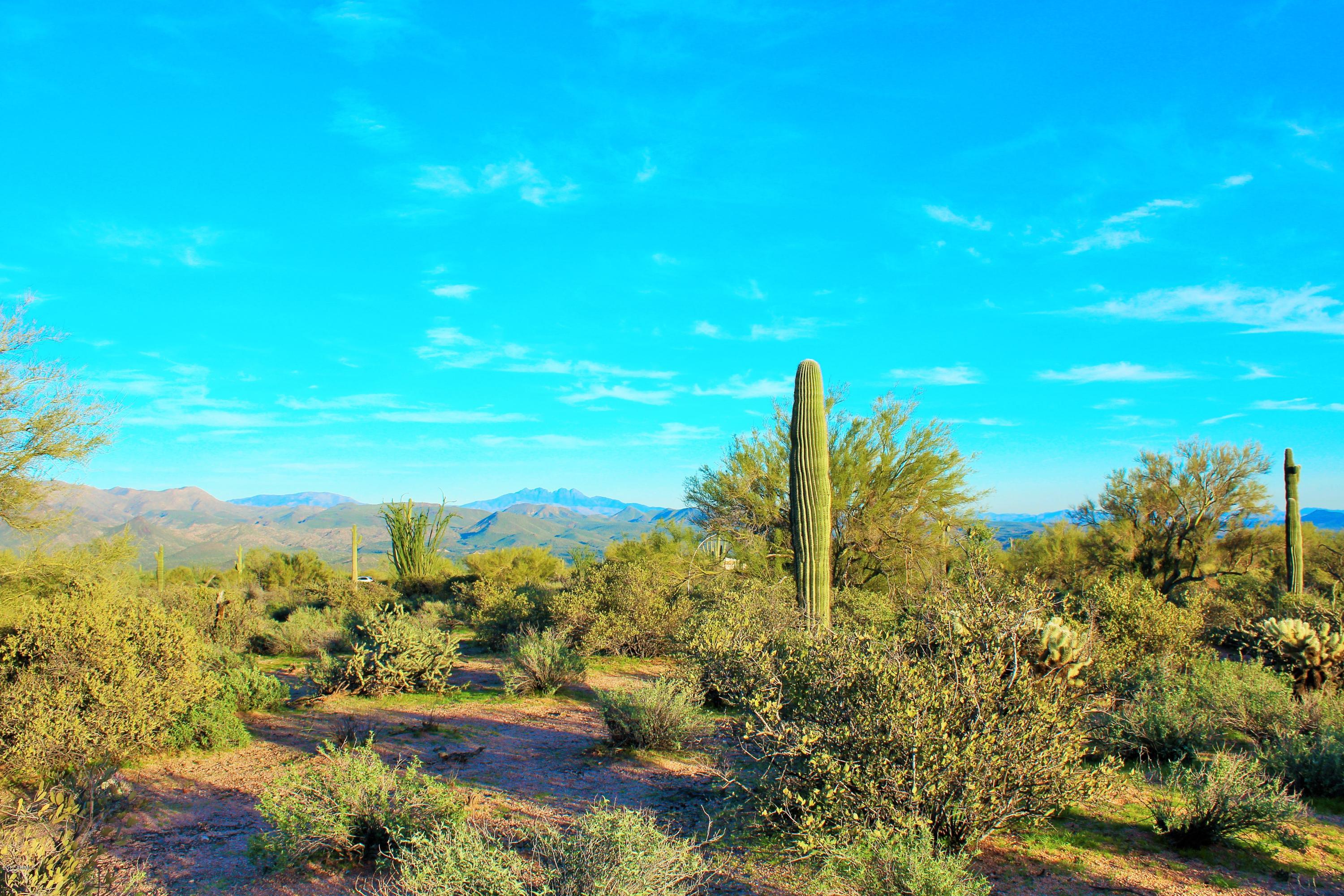 17000 East Lone Mountain Road Rio Verde, AZ 85263 - Photo 20 of 26 Picture Perfect views