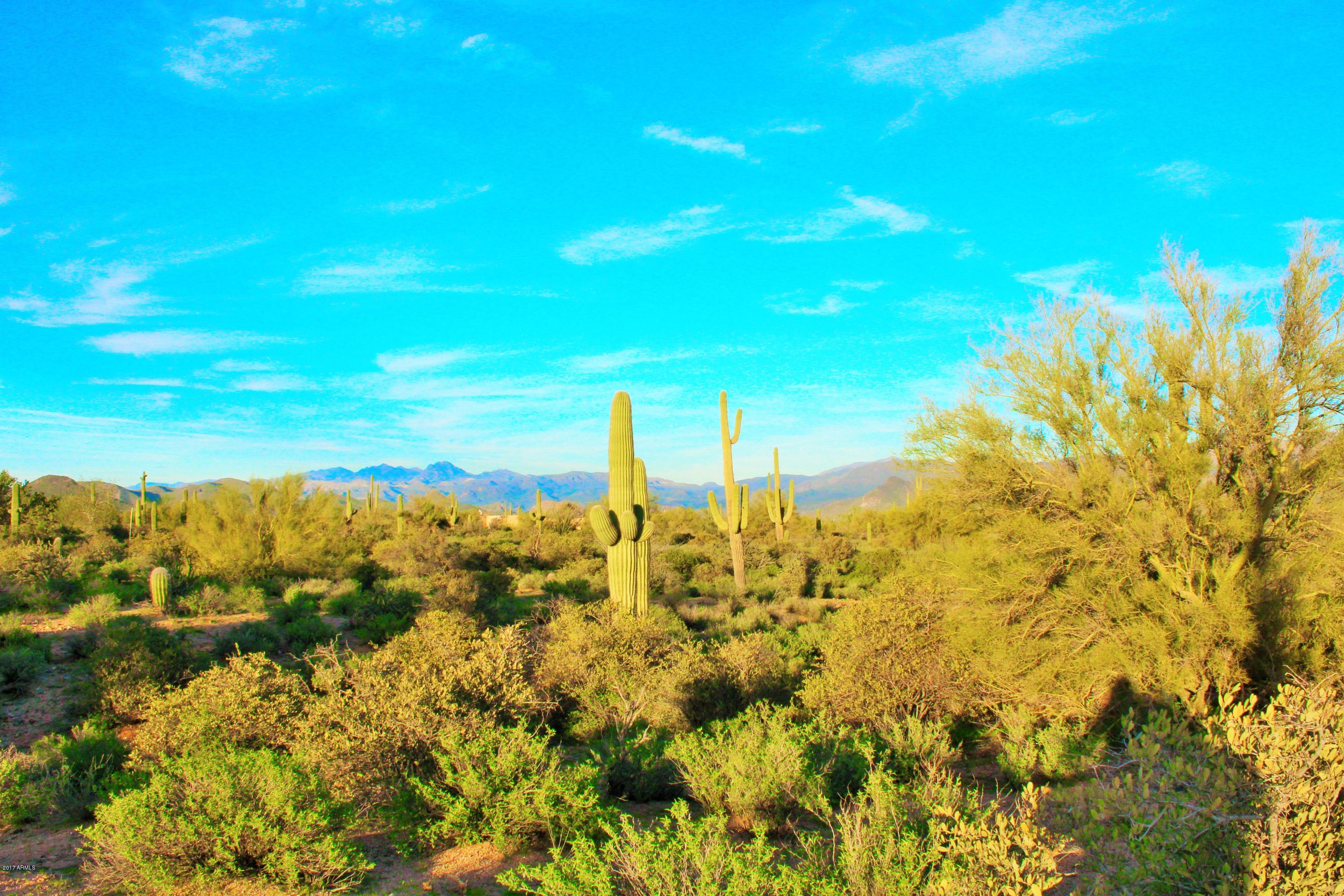 17000 East Lone Mountain Road Rio Verde, AZ 85263 - Photo 21 of 26 Panoramic Mountain Ranges
