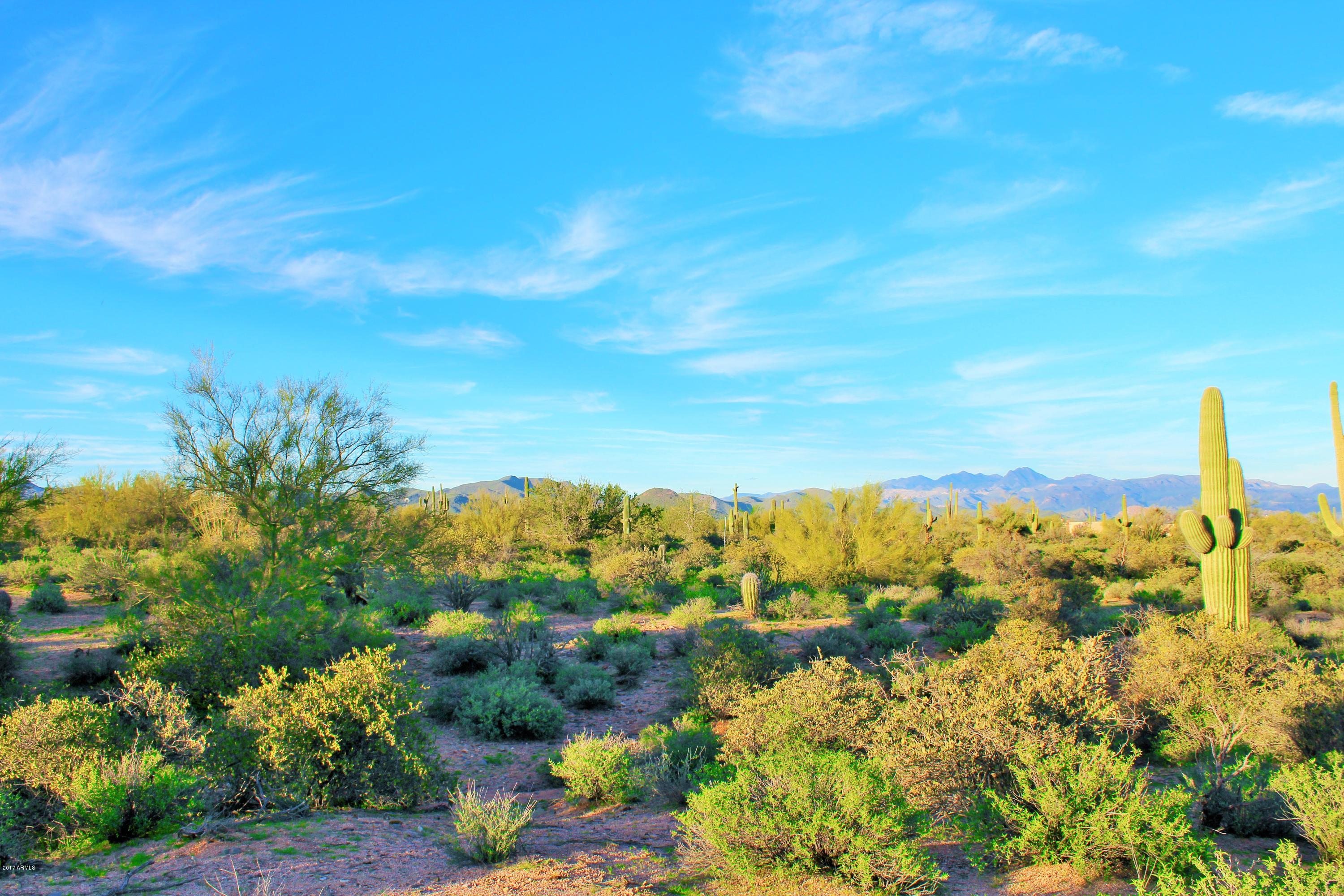 17000 East Lone Mountain Road Rio Verde, AZ 85263 - Photo 22 of 26 Lush Scenery