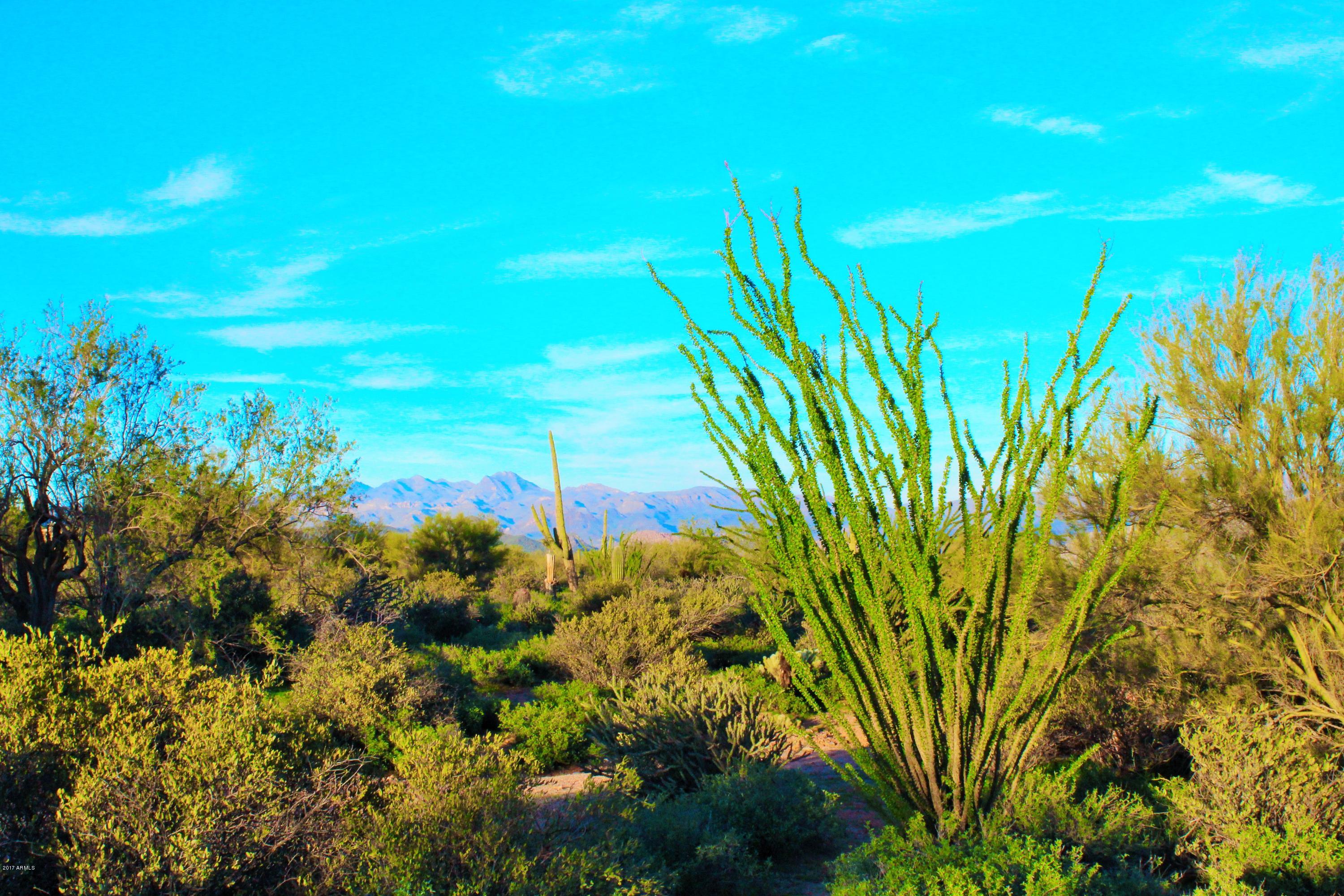 17000 East Lone Mountain Road Rio Verde, AZ 85263 - Photo 24 of 26 The Perfect Picture