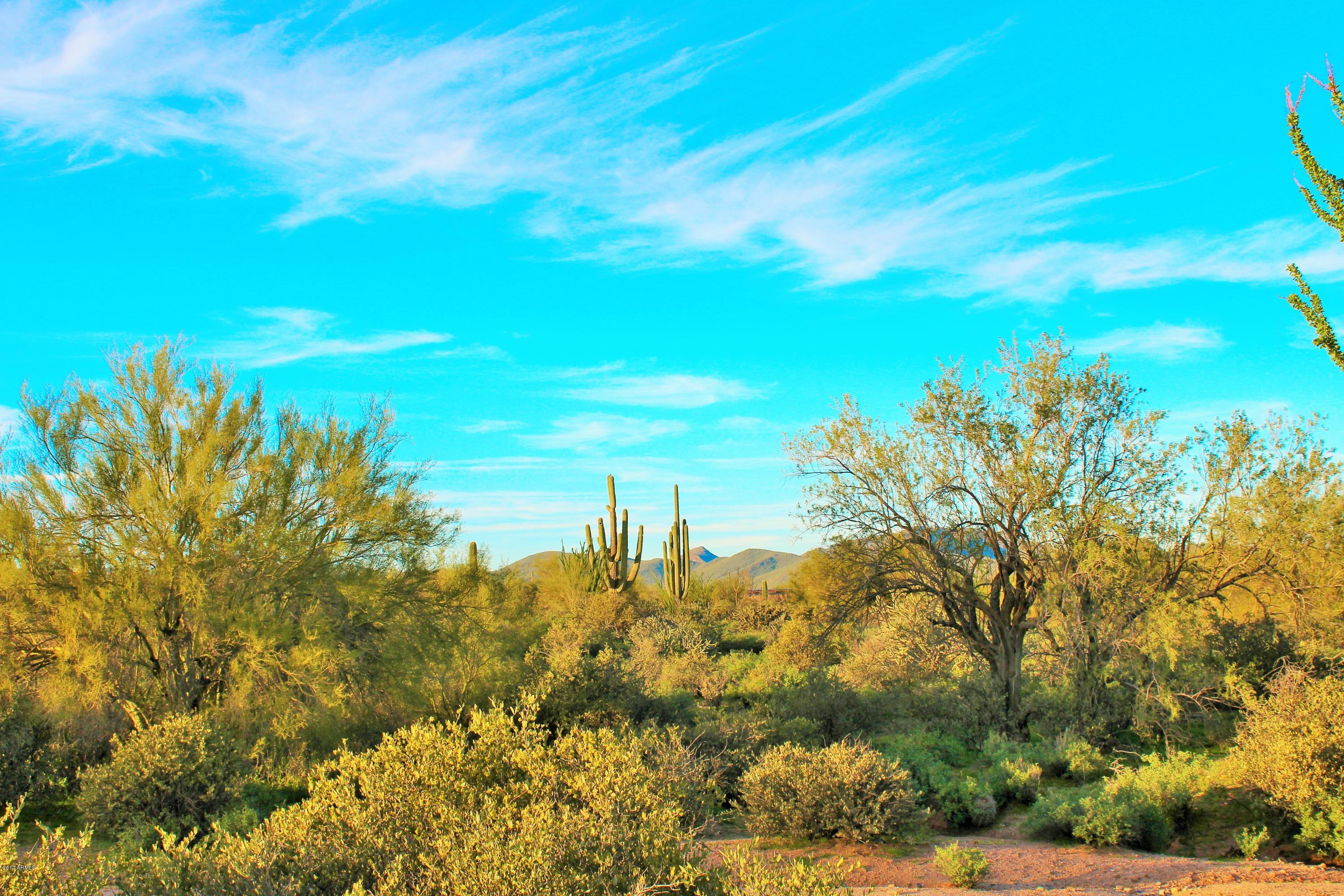 17000 East Lone Mountain Road Rio Verde, AZ 85263 - Photo 25 of 26 Peace, Serenity
