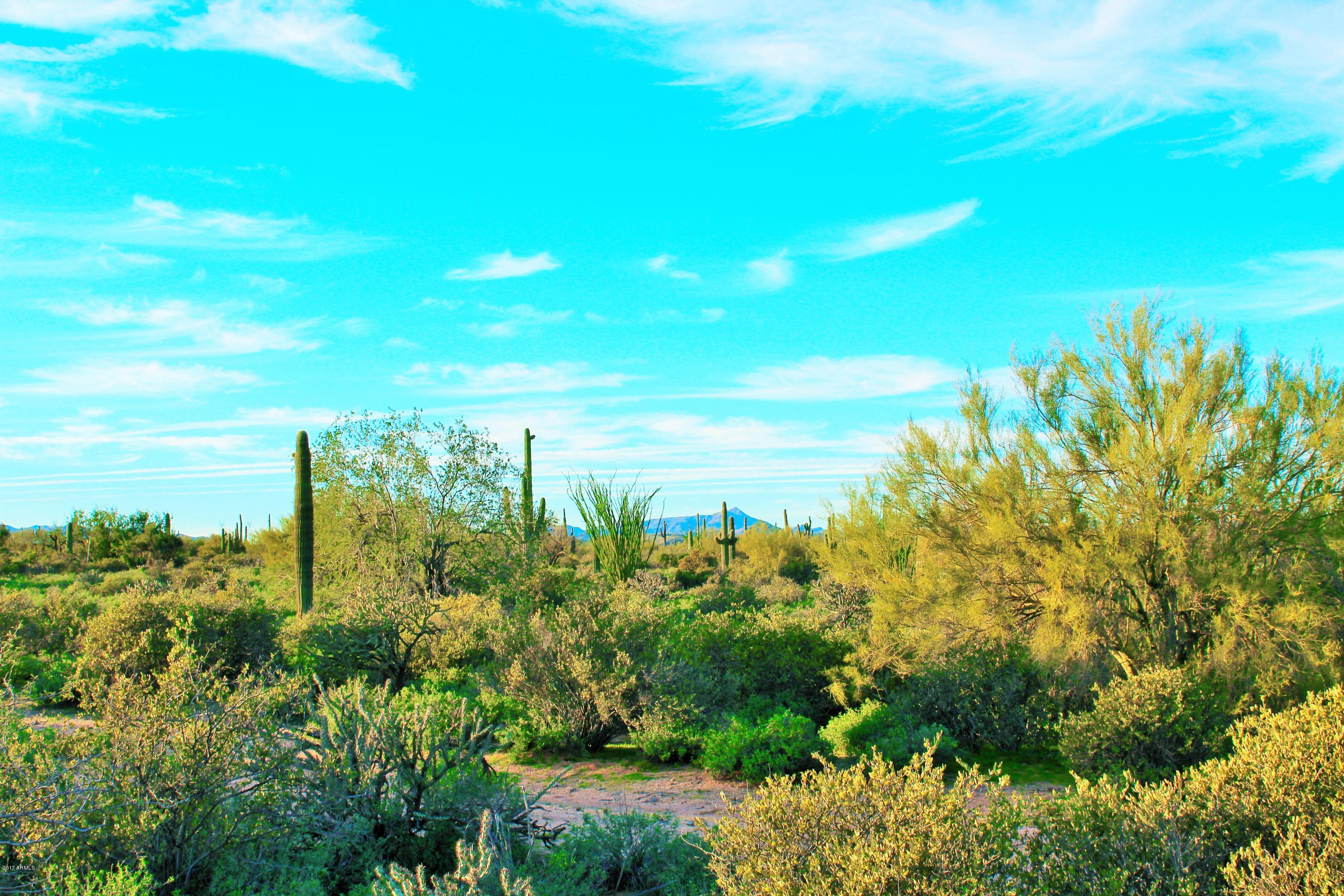 17000 East Lone Mountain Road Rio Verde, AZ 85263 - Photo 26 of 26 Fresh Air