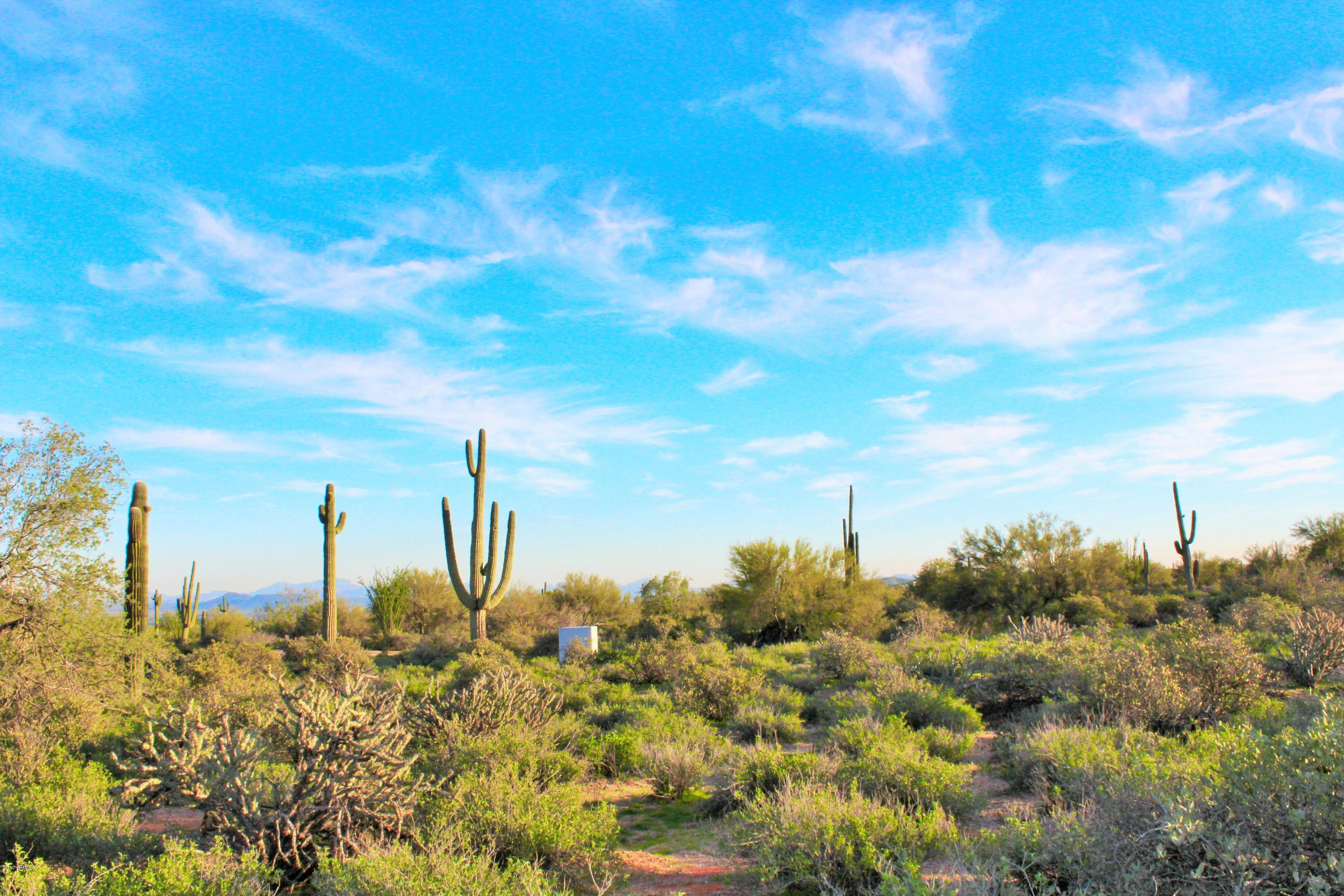 17000 East Lone Mountain Road Rio Verde, AZ 85263 - Photo 3 of 26 Natural beauty of the desert