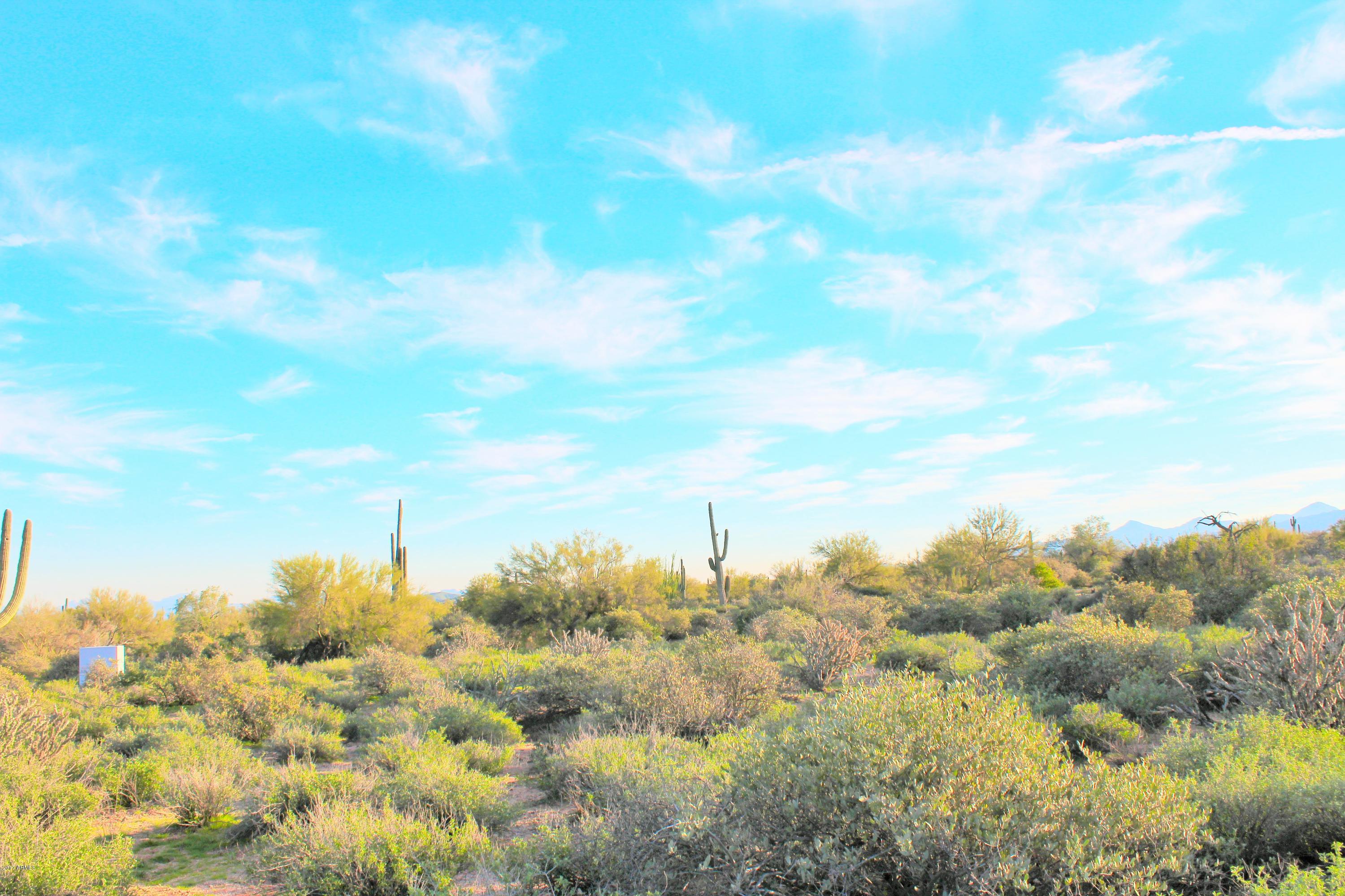 17000 East Lone Mountain Road Rio Verde, AZ 85263 - Photo 4 of 26 Amazing Landscaping
