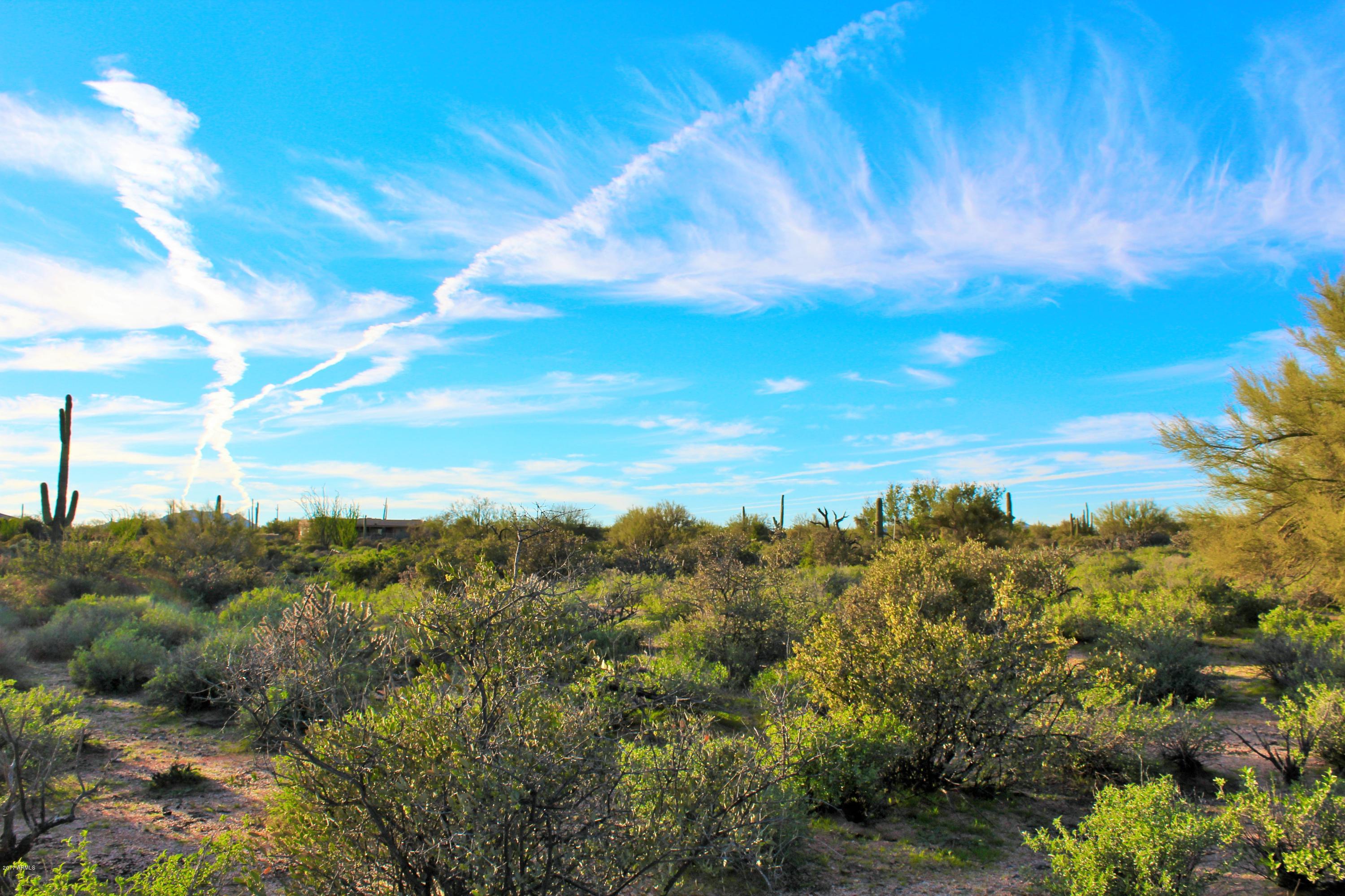 17000 East Lone Mountain Road Rio Verde, AZ 85263 - Photo 7 of 26 Lush natural desert landscaping