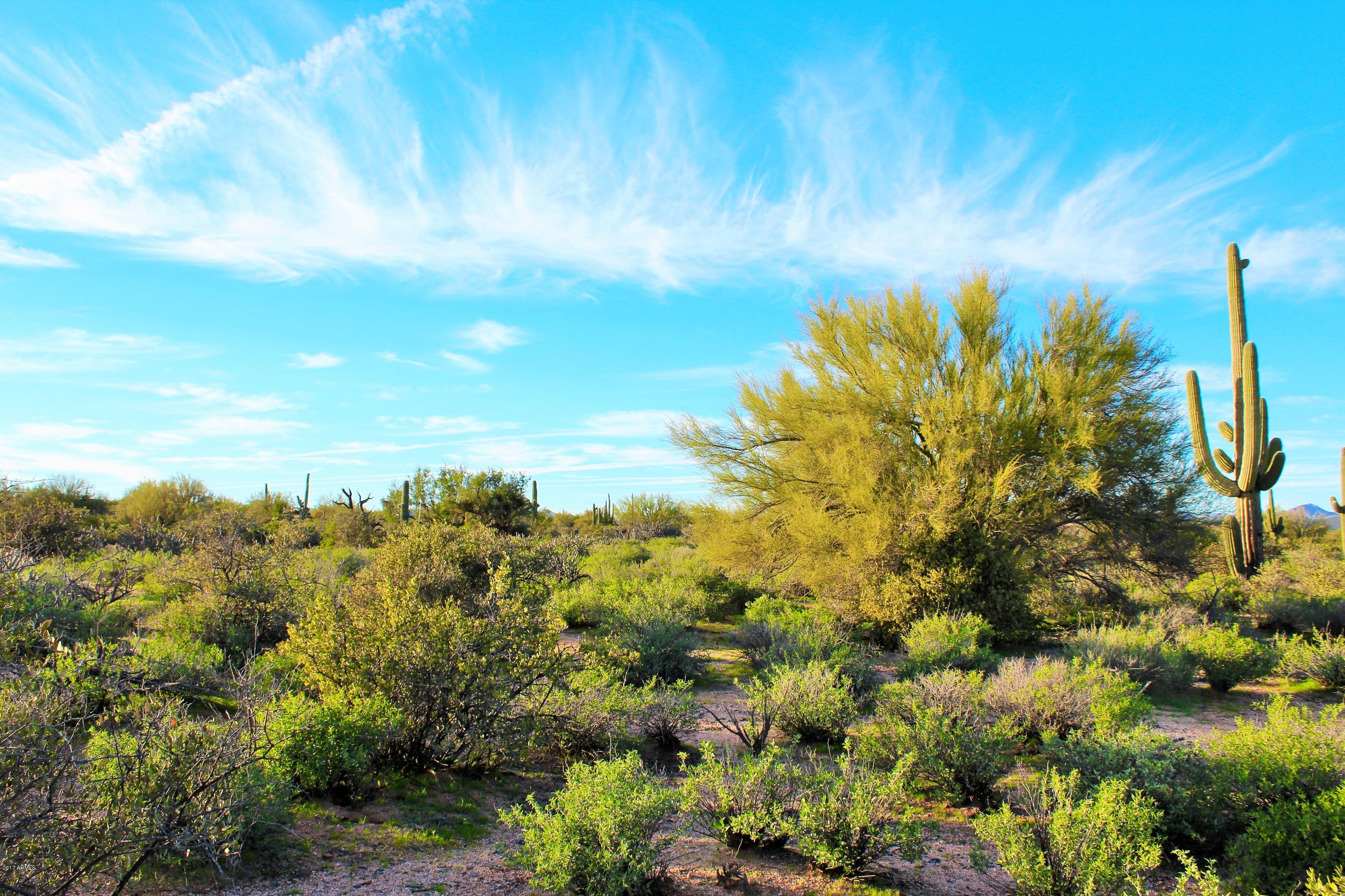 17000 East Lone Mountain Road Rio Verde, AZ 85263 - Photo 8 of 26 Beautiful Desert
