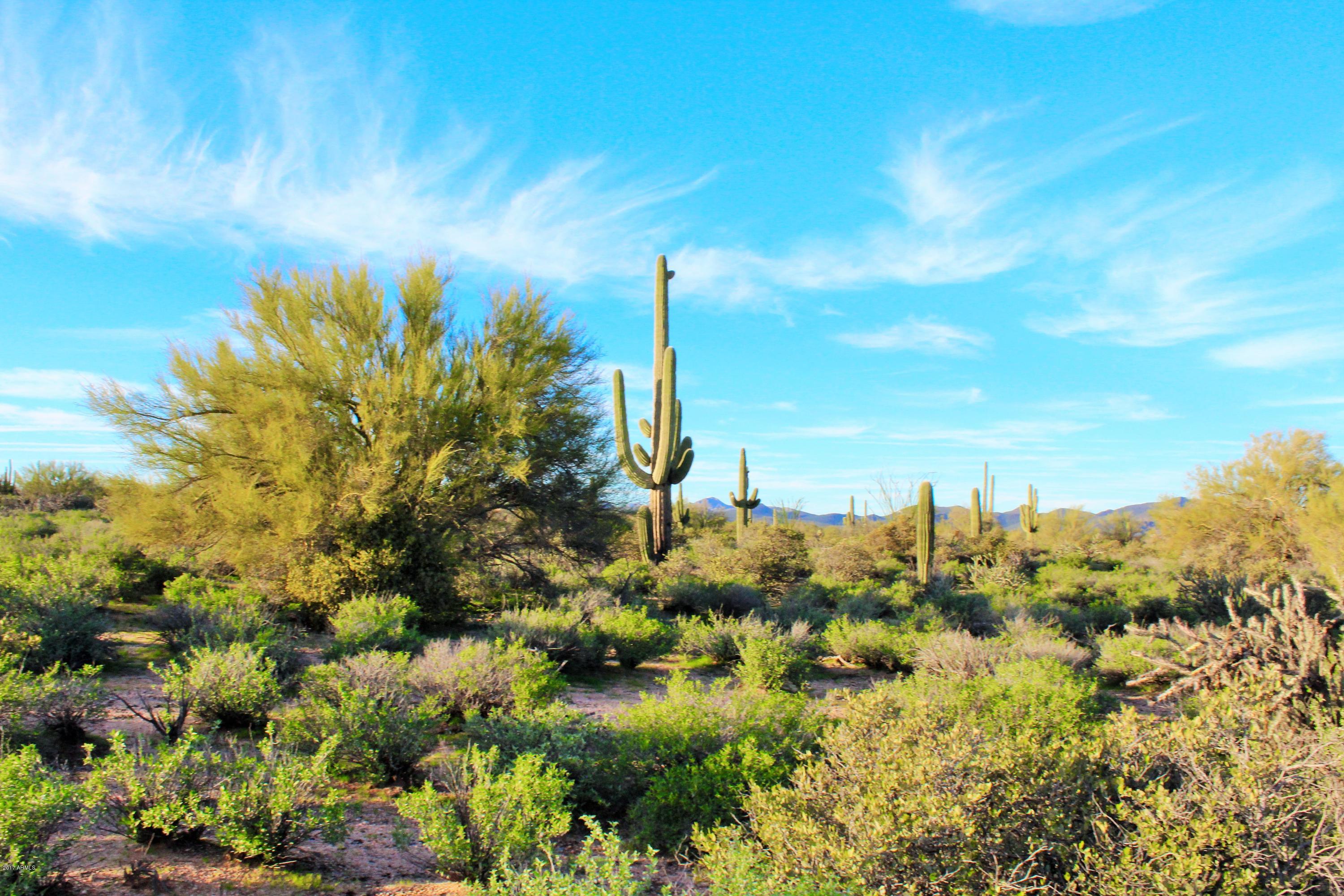 17000 East Lone Mountain Road Rio Verde, AZ 85263 - Photo 9 of 26 Saguaros add to the beauty!