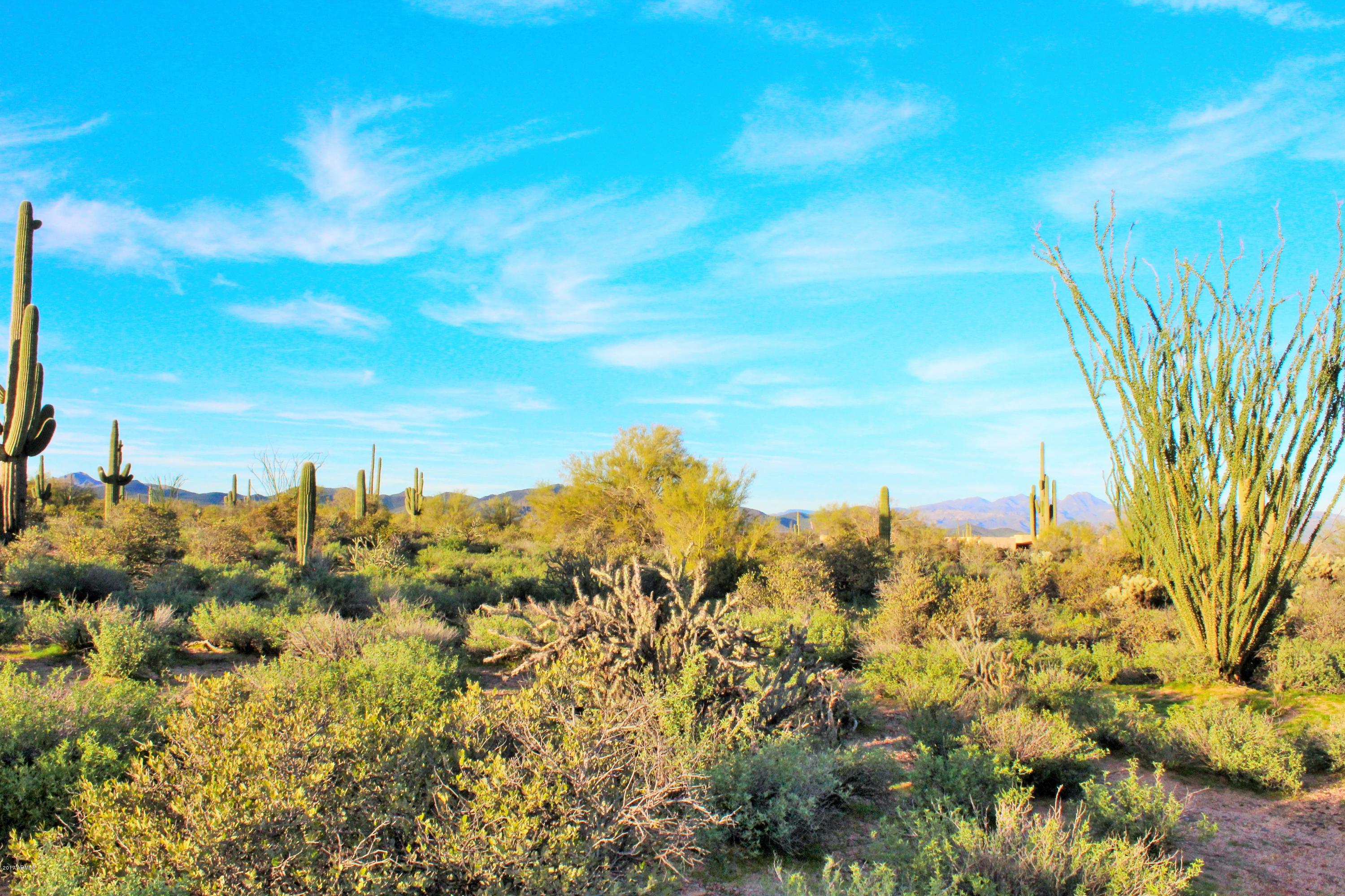 17000 East Lone Mountain Road Rio Verde, AZ 85263 - Photo 10 of 26 Mountain Views