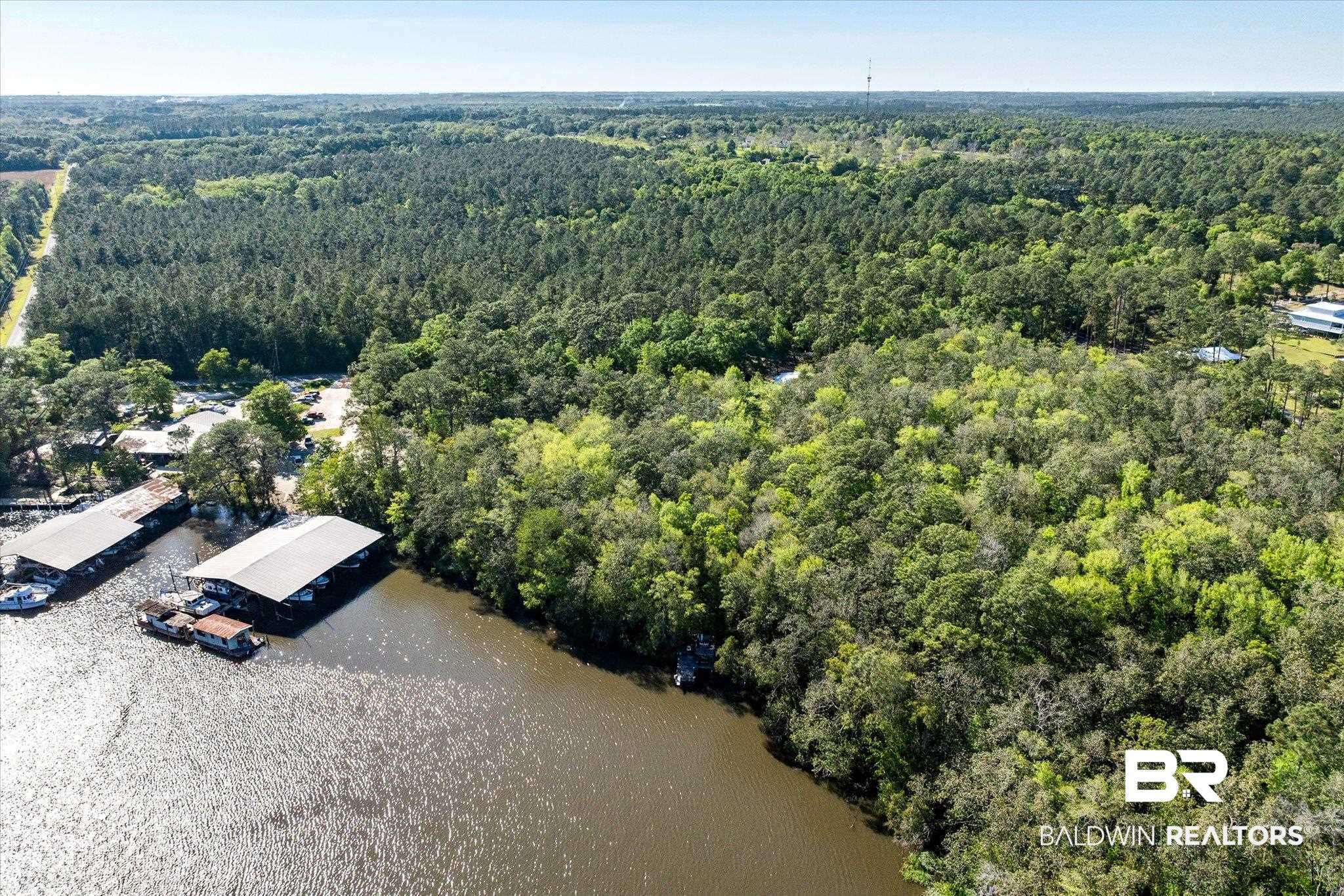 16620 Ferry Road Fairhope, AL 36532 - Photo 8 of 28 Bird's eye view with a forest view