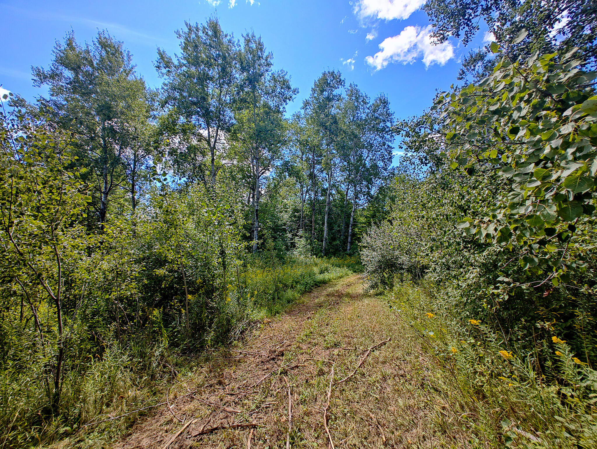 14 14 Mile Road Leroy, MI 49655 - Photo 11 of 44 IMG_20250825_142853780_HDR