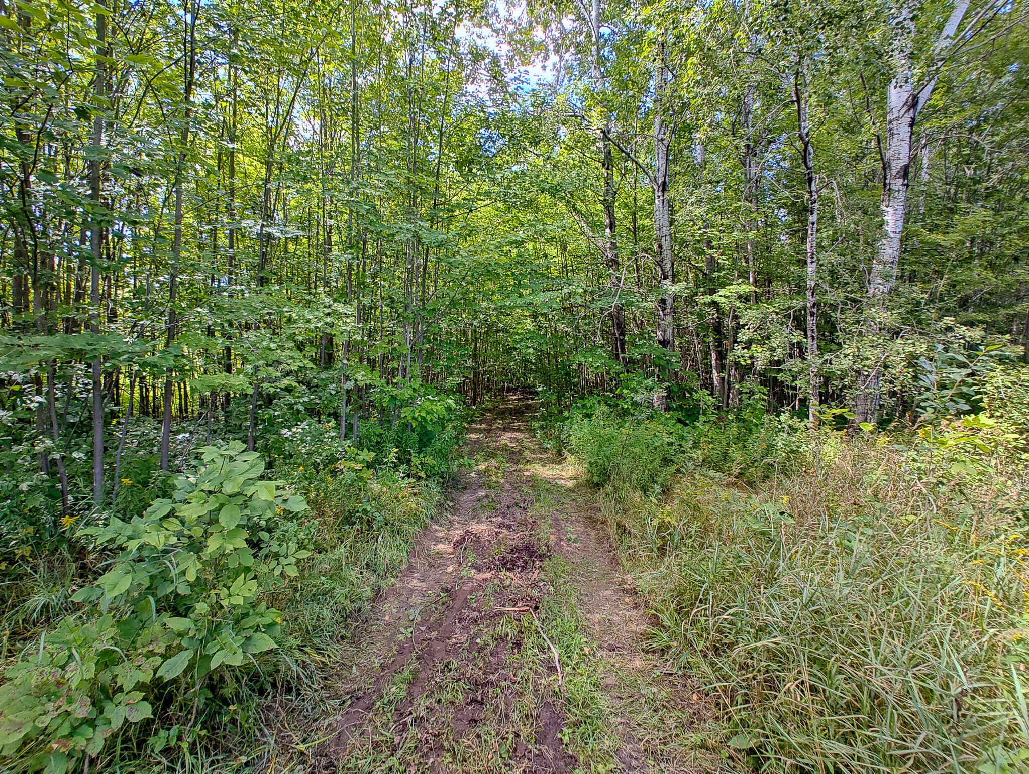 14 14 Mile Road Leroy, MI 49655 - Photo 12 of 44 IMG_20250825_142925355_HDR