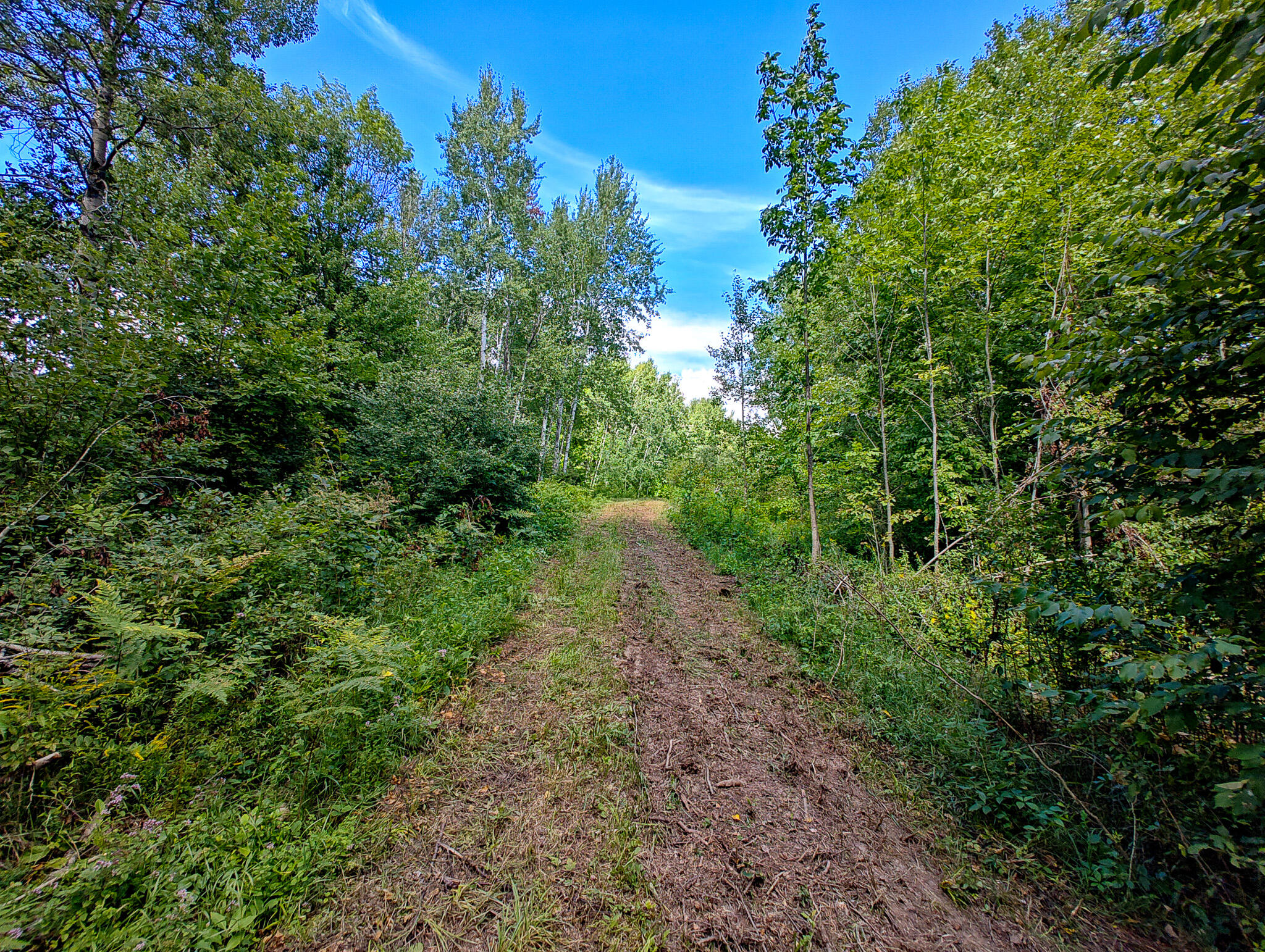 14 14 Mile Road Leroy, MI 49655 - Photo 13 of 44 IMG_20250825_143025510_HDR