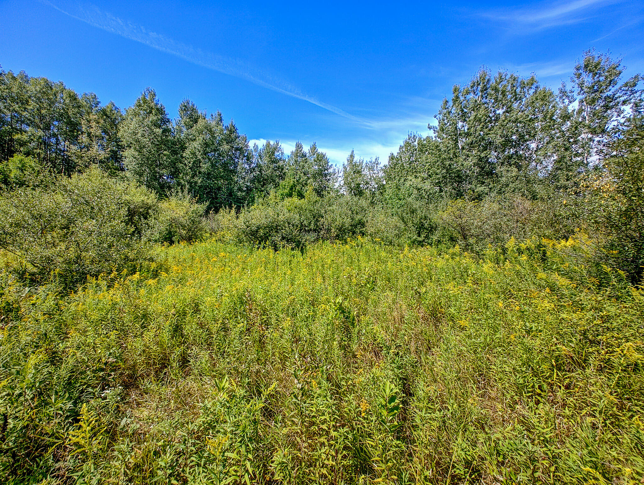 14 14 Mile Road Leroy, MI 49655 - Photo 18 of 44 IMG_20250825_143532949_HDR