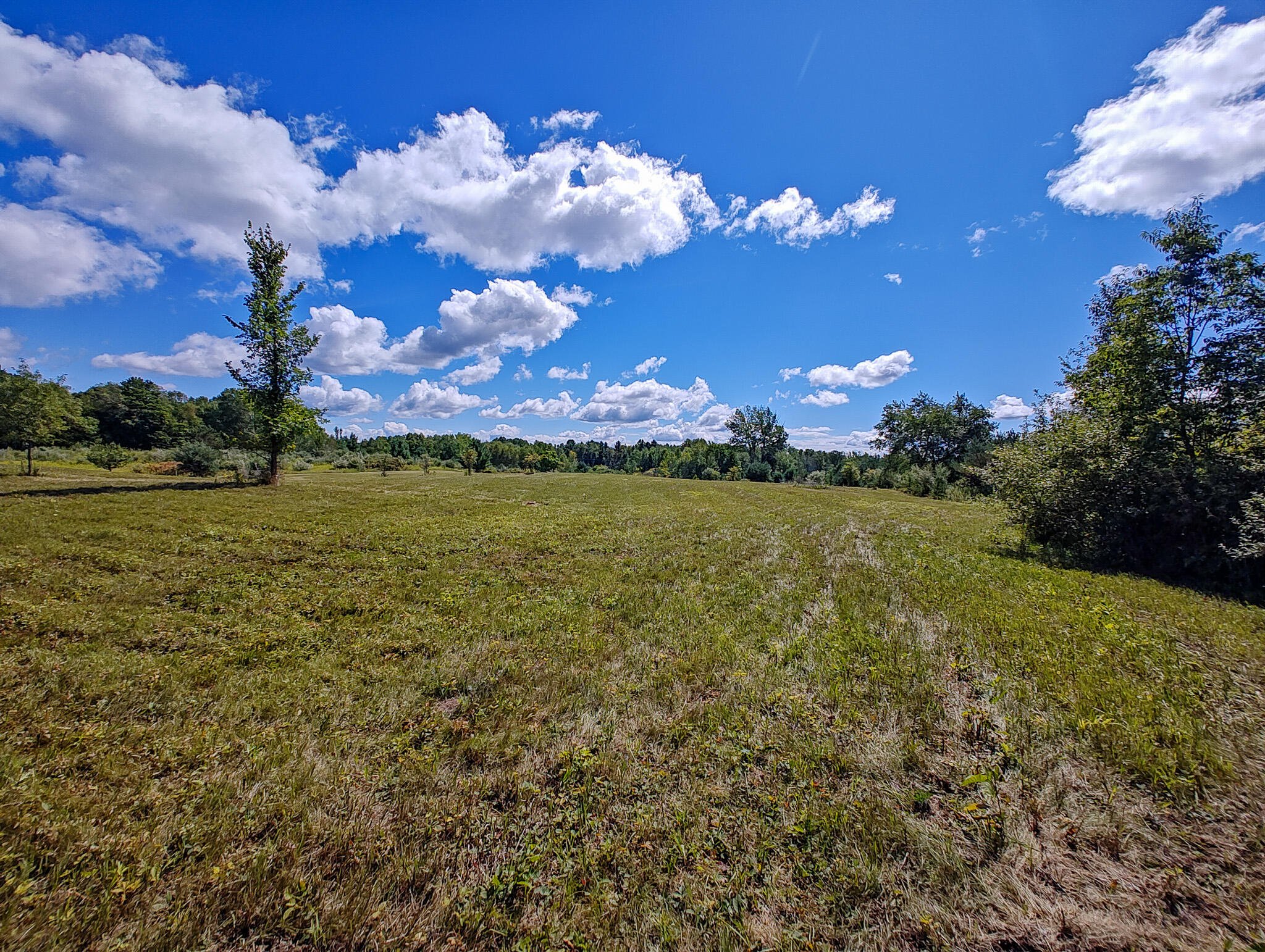 14 14 Mile Road Leroy, MI 49655 - Photo 25 of 44 IMG_20250825_144022528