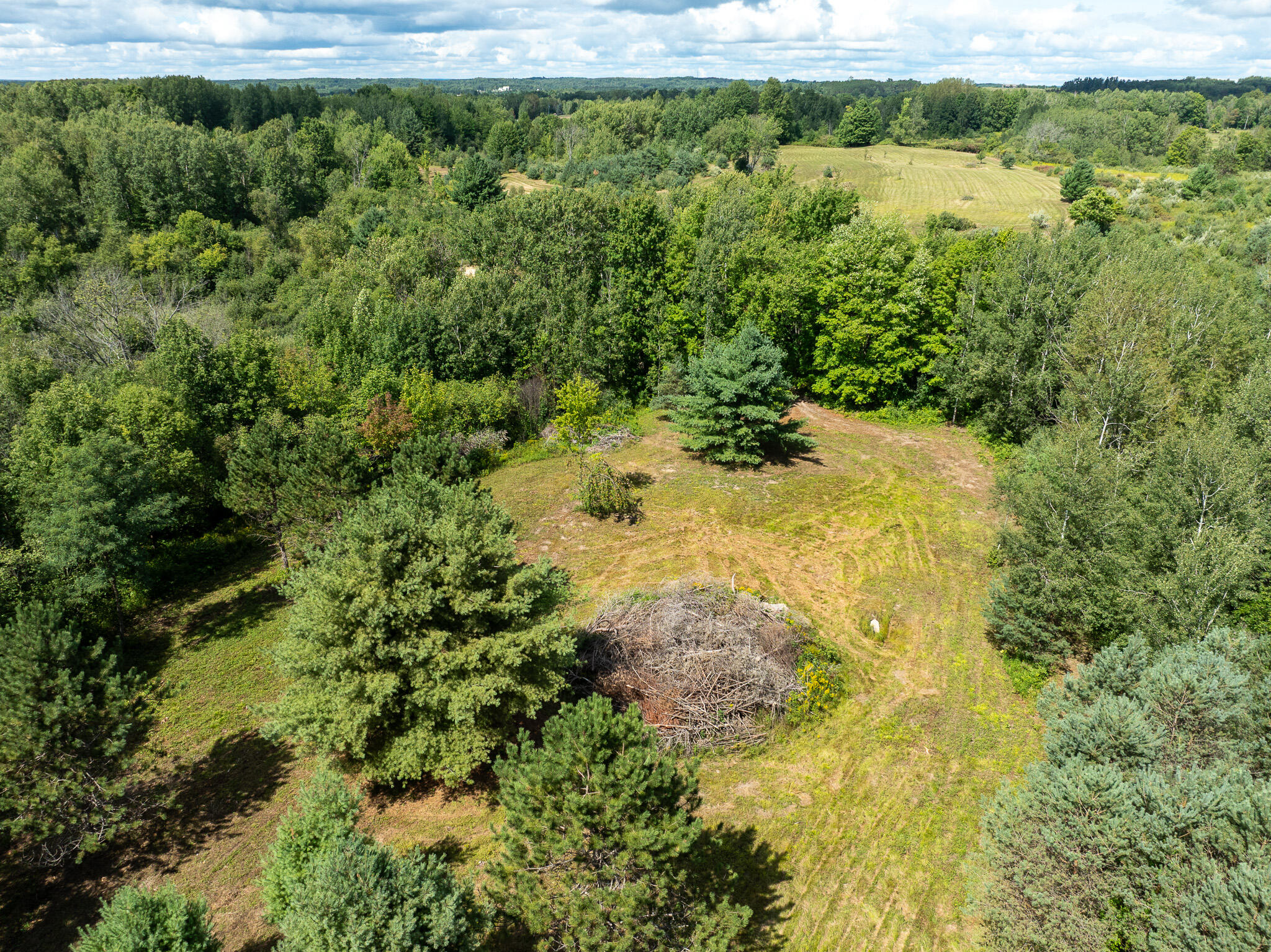 14 14 Mile Road Leroy, MI 49655 - Photo 30 of 44 DJI_0952
