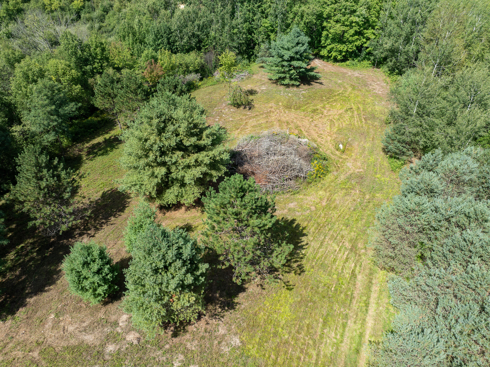 14 14 Mile Road Leroy, MI 49655 - Photo 31 of 44 DJI_0953
