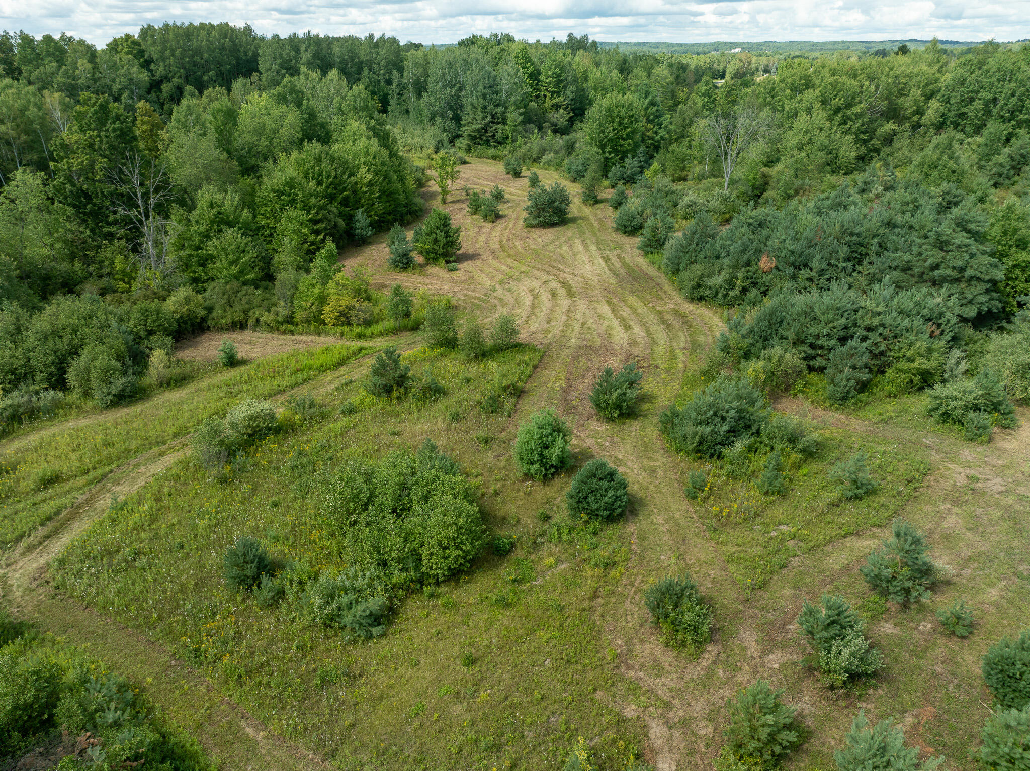 14 14 Mile Road Leroy, MI 49655 - Photo 38 of 44 DJI_0962