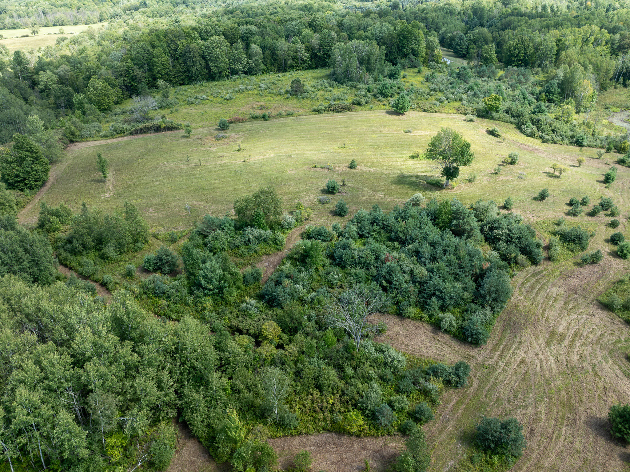 14 14 Mile Road Leroy, MI 49655 - Photo 39 of 44 DJI_0963