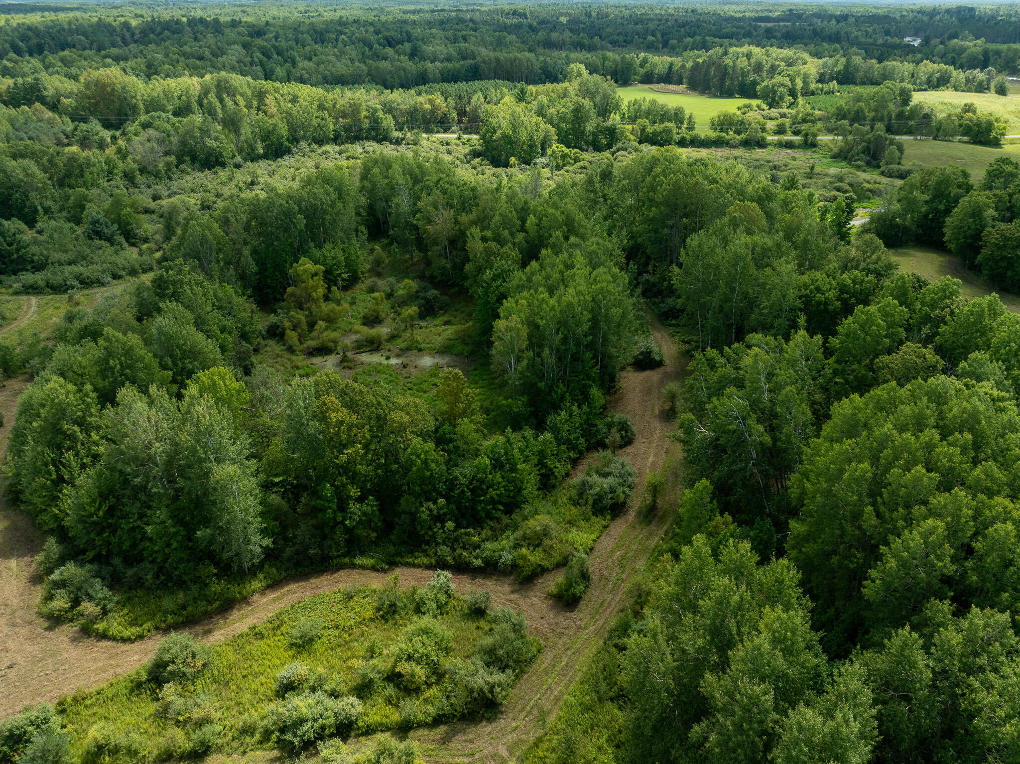 14 14 Mile Road Leroy, MI 49655 - Photo 41 of 44 DJI_0965