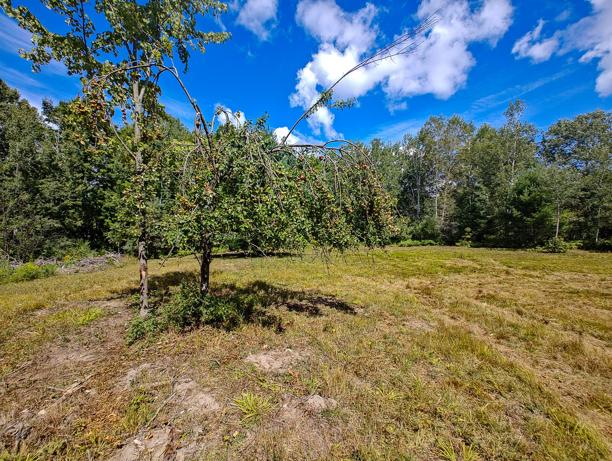 14 14 Mile Road Leroy, MI 49655 - Photo 5 of 44 IMG_20250825_142548198