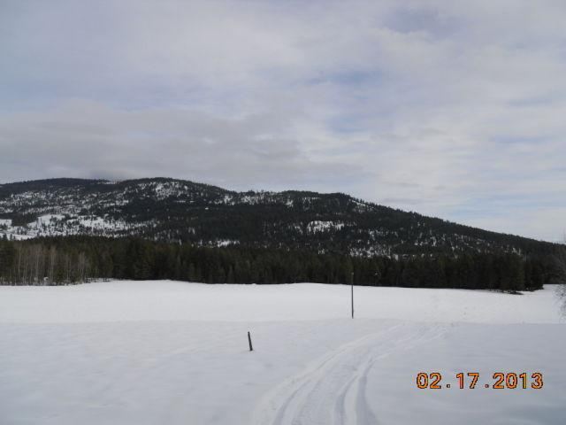 2515 Burgess Road Addy, WA 99101 - Photo 2 of 5