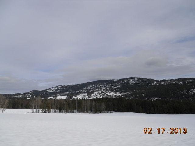 2515 Burgess Road Addy, WA 99101 - Photo 3 of 5