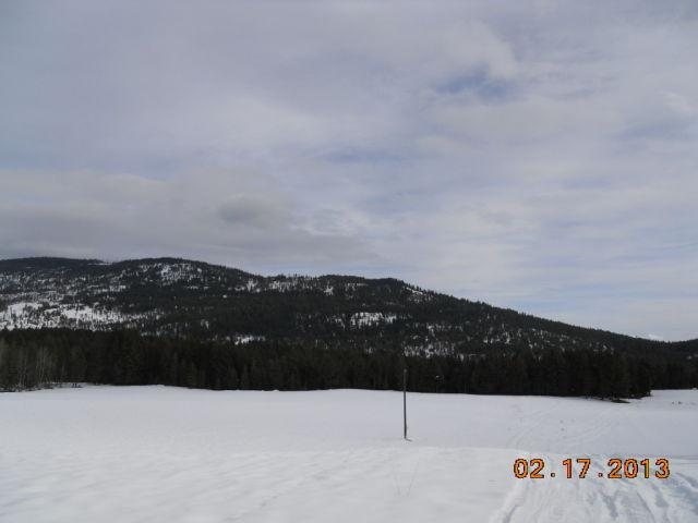 2515 Burgess Road Addy, WA 99101 - Photo 4 of 5