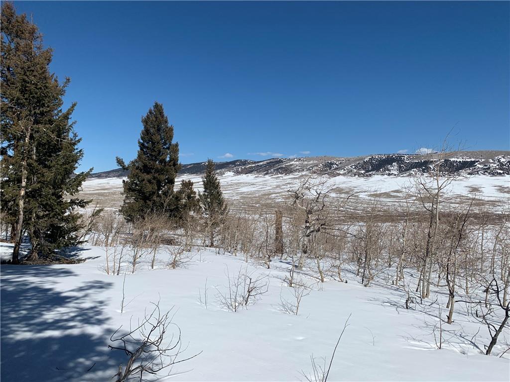 Tbd Redhill Road Fairplay, CO 80440 - Photo 3 of 20 Gallery Image 3