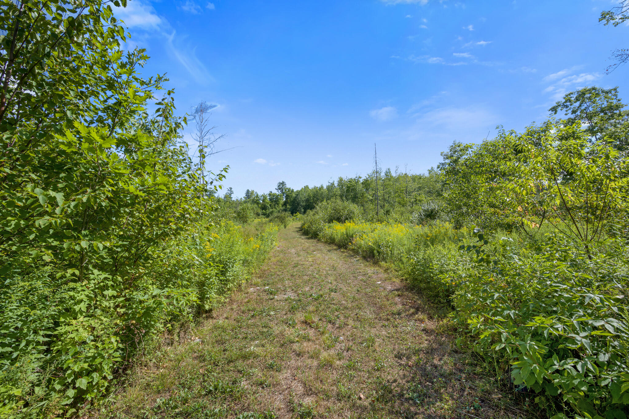 Map1-lot41 Partridge Road Hampden, ME 04444 - Photo 11 of 18 DSC_1953