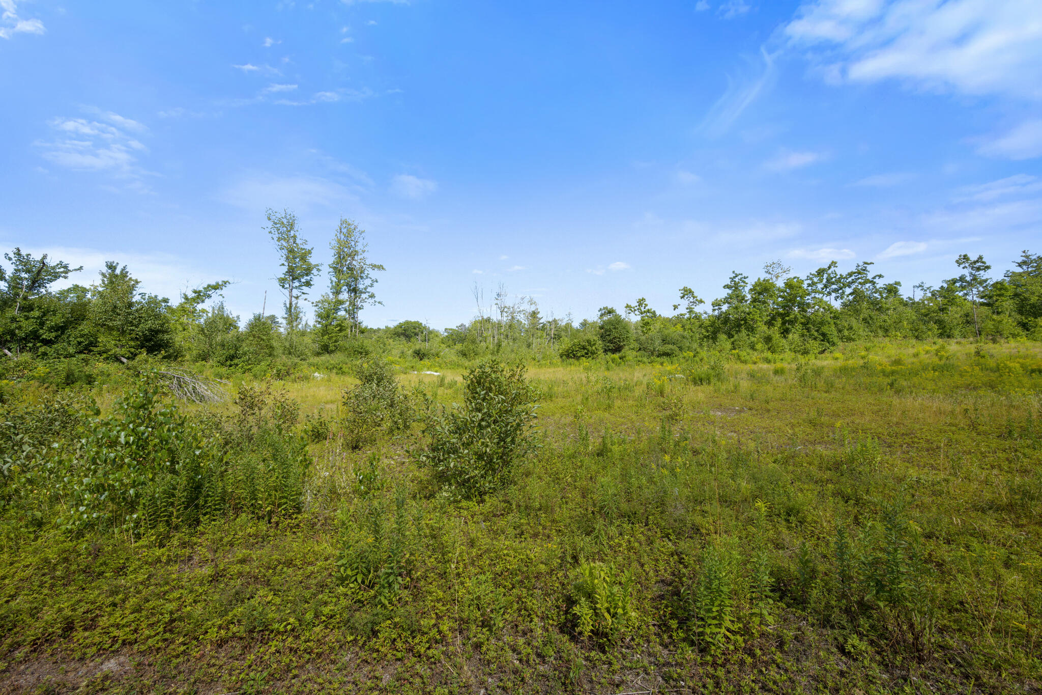 Map1-lot41 Partridge Road Hampden, ME 04444 - Photo 12 of 18 DSC_1958
