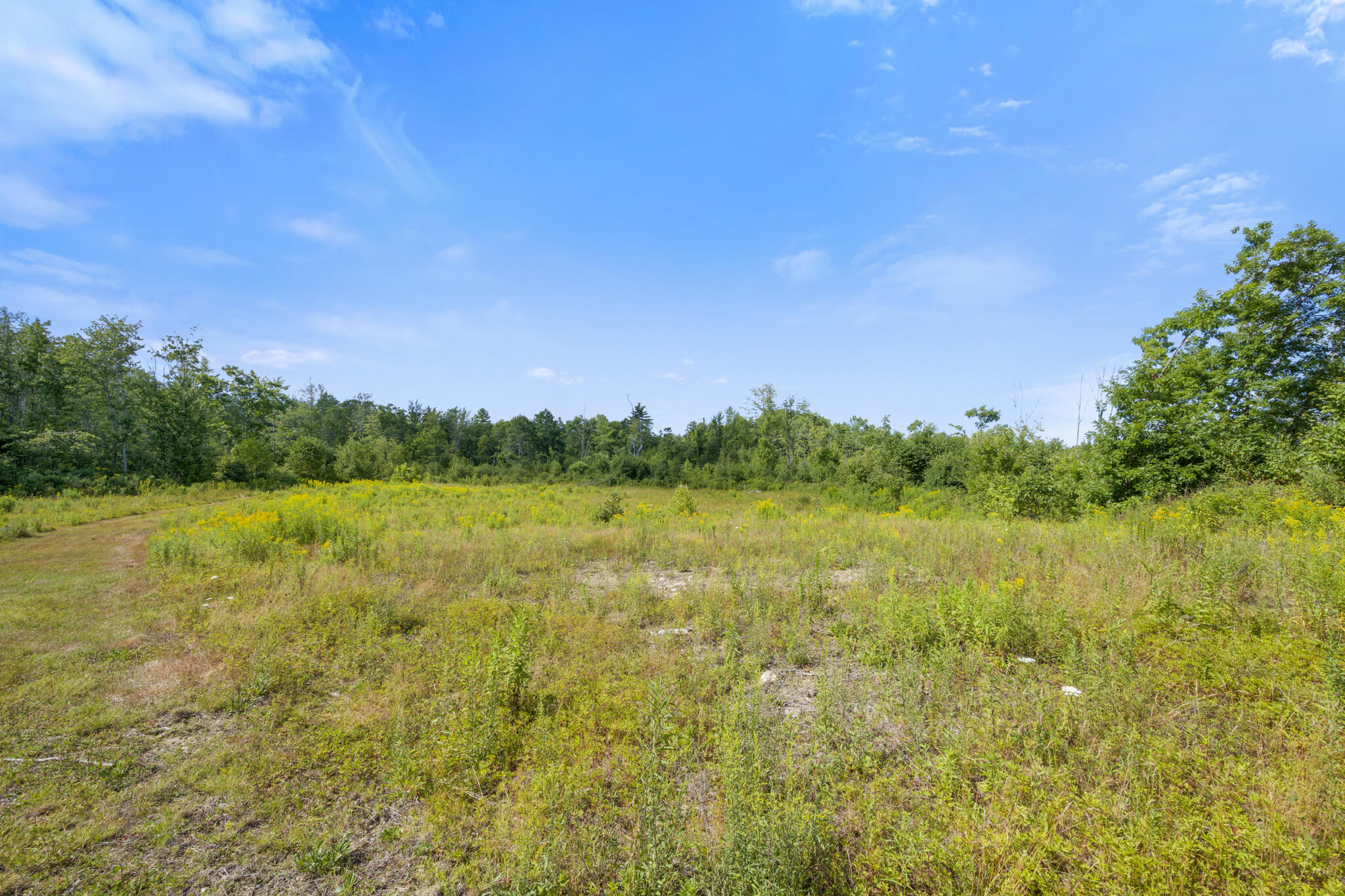 Map1-lot41 Partridge Road Hampden, ME 04444 - Photo 14 of 18 DSC_1968