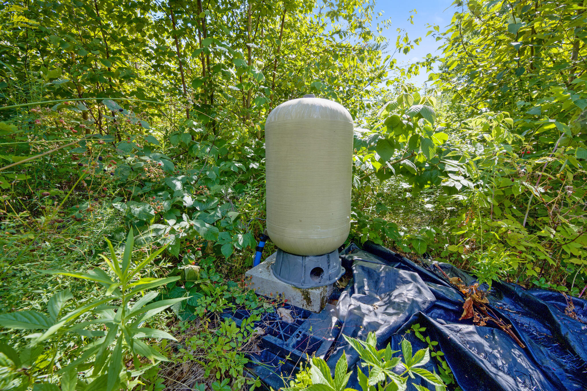 Map1-lot41 Partridge Road Hampden, ME 04444 - Photo 16 of 18 DSC_1978