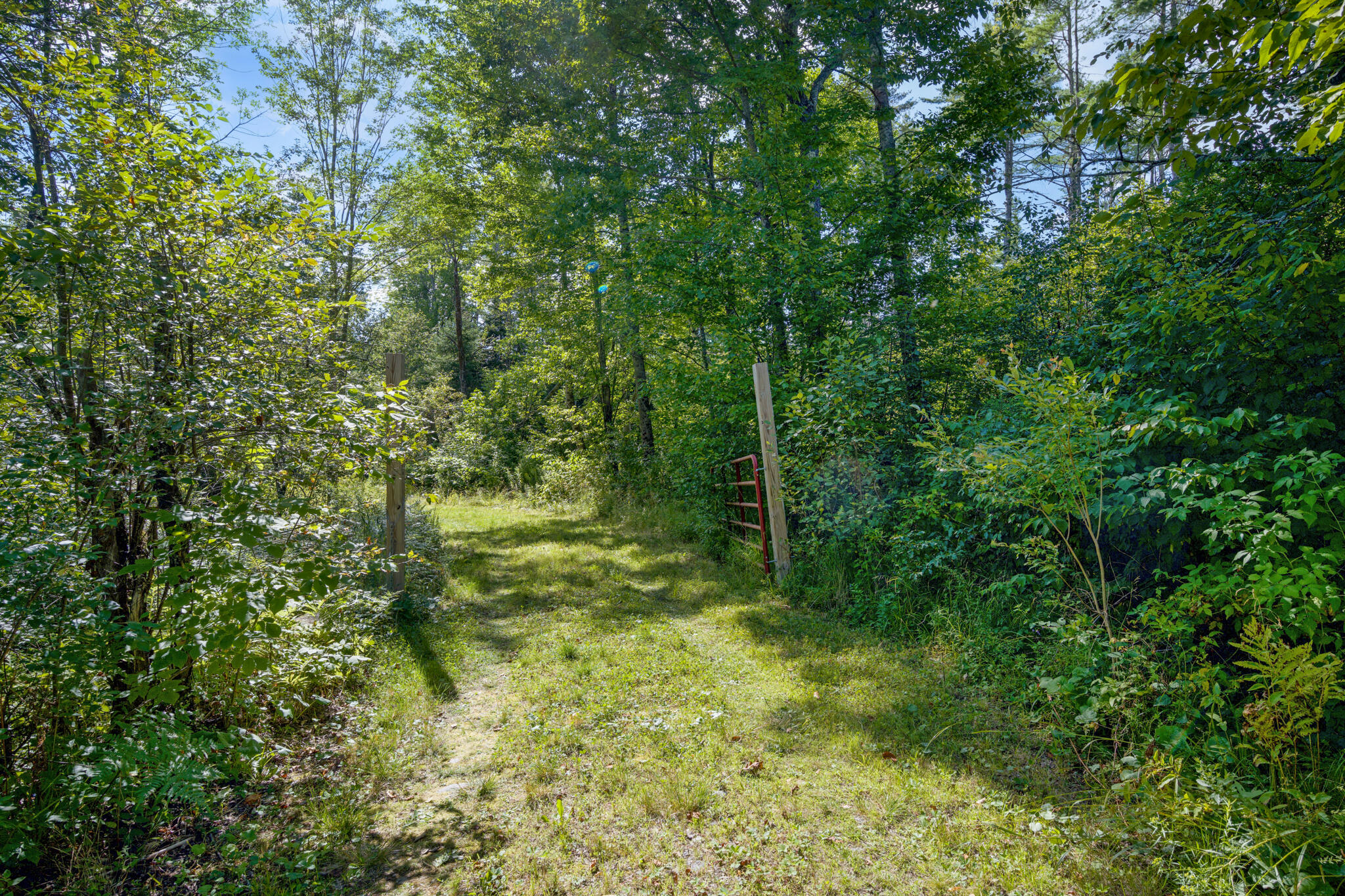 Map1-lot41 Partridge Road Hampden, ME 04444 - Photo 18 of 18 DSC_1988(1)