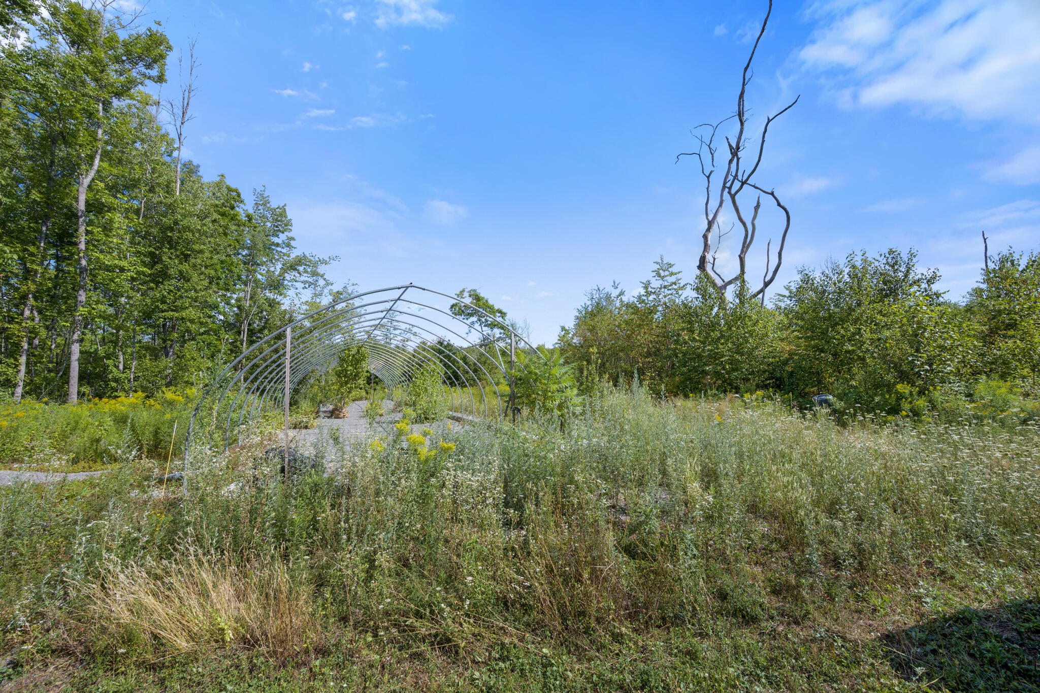 Map1-lot41 Partridge Road Hampden, ME 04444 - Photo 10 of 18 DSC_1948