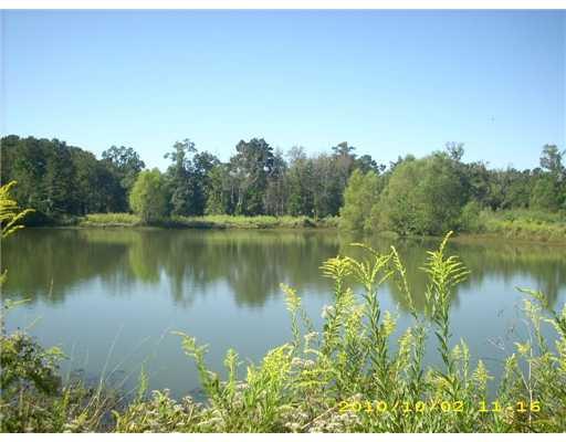 10278 Gatlin Road Hammond, LA 70403 - Photo 2 of 9 Gallery Image 2