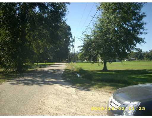 10278 Gatlin Road Hammond, LA 70403 - Photo 5 of 9 Gallery Image 5