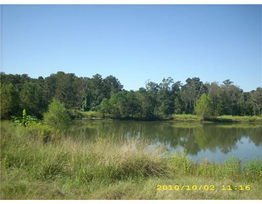 10278 Gatlin Road Hammond, LA 70403 - Photo 9 of 9 Gallery Image 9