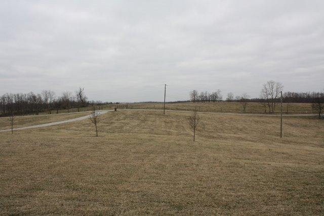 782 Pea Ridge Road Stamping Ground, KY 40379 - Photo 59 of 61 Photo 59