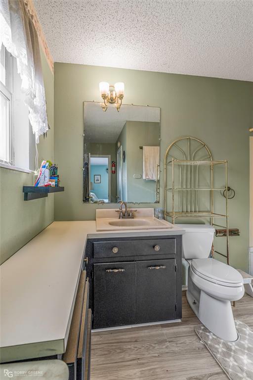 251 Tom Murphy Road Jamestown, LA 71045 - Photo 29 of 40 Full bath featuring vanity, a textured ceiling, light wood finished floors, and a chandelier